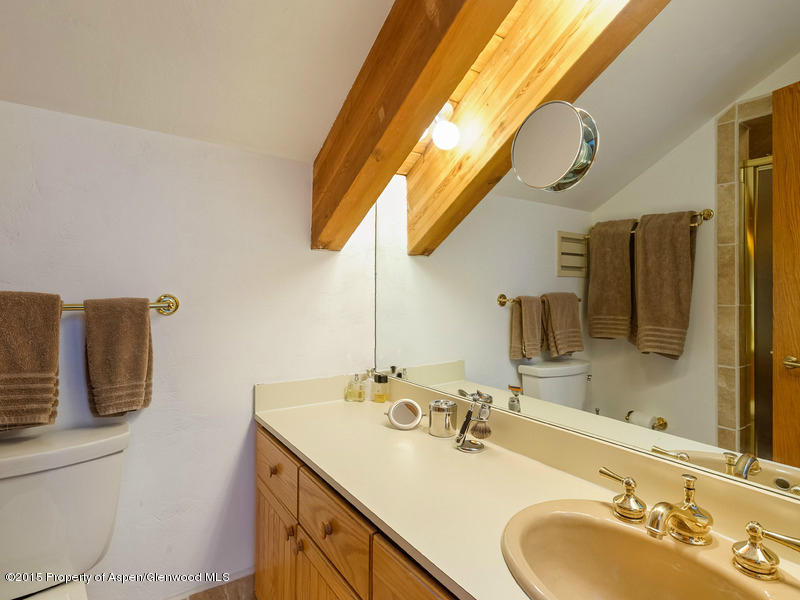 267 Mcskimming Road Aspen CO 81611