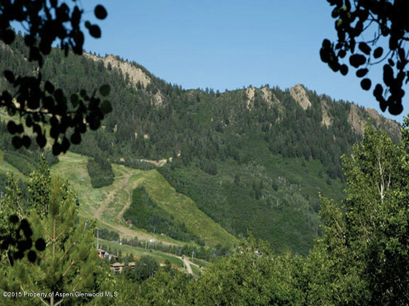 267 Mcskimming Road Aspen CO 81611
