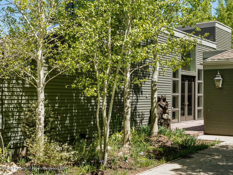 267 Mcskimming Road Aspen CO 81611