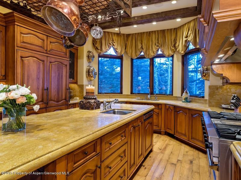 45 N Willow Court Aspen CO 81611