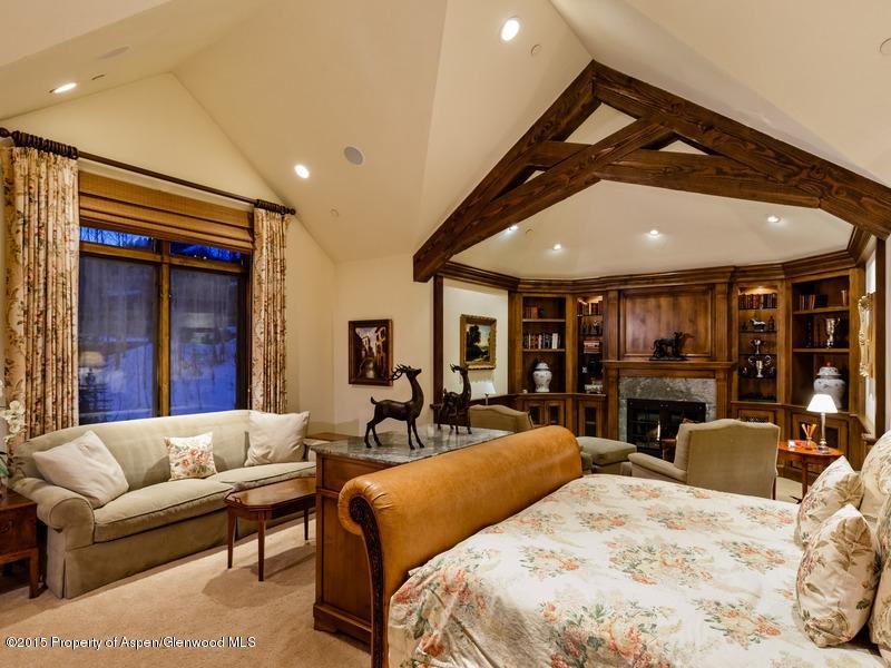 45 N Willow Court Aspen CO 81611