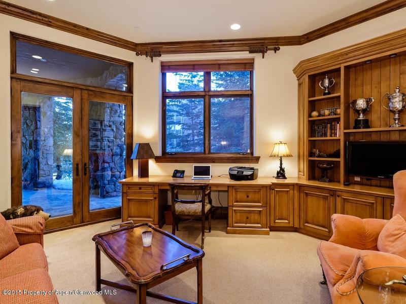 45 N Willow Court Aspen CO 81611