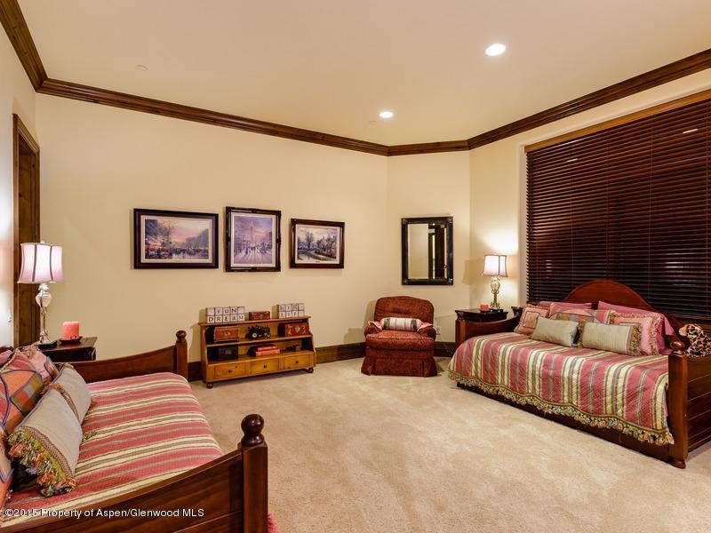 45 N Willow Court Aspen CO 81611