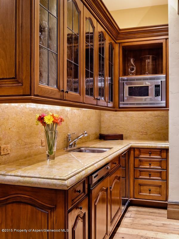 45 N Willow Court Aspen CO 81611