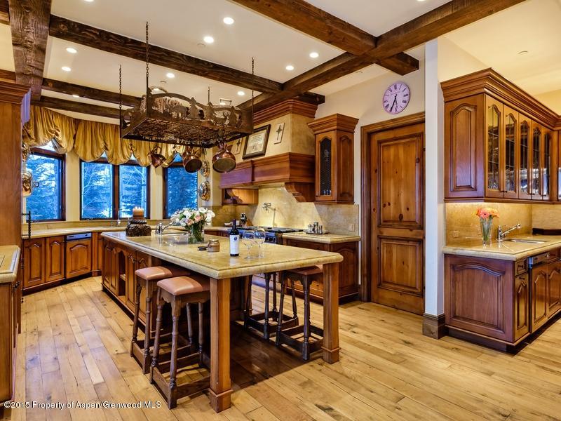 45 N Willow Court Aspen CO 81611