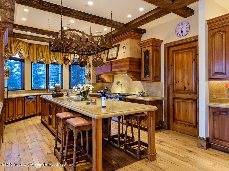 45 N Willow Court Aspen CO 81611