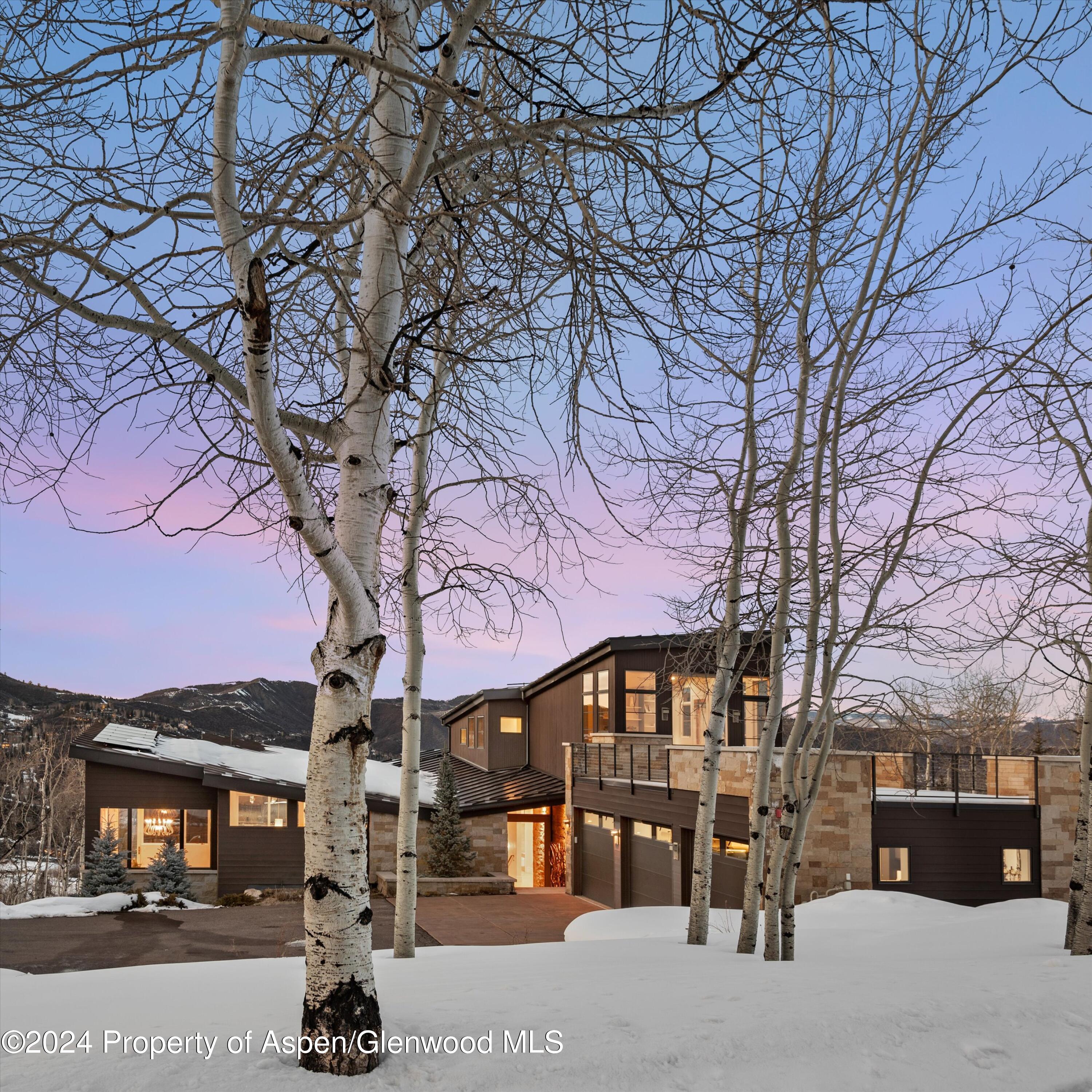 919 Fox Run Drive Snowmass Village CO 81615