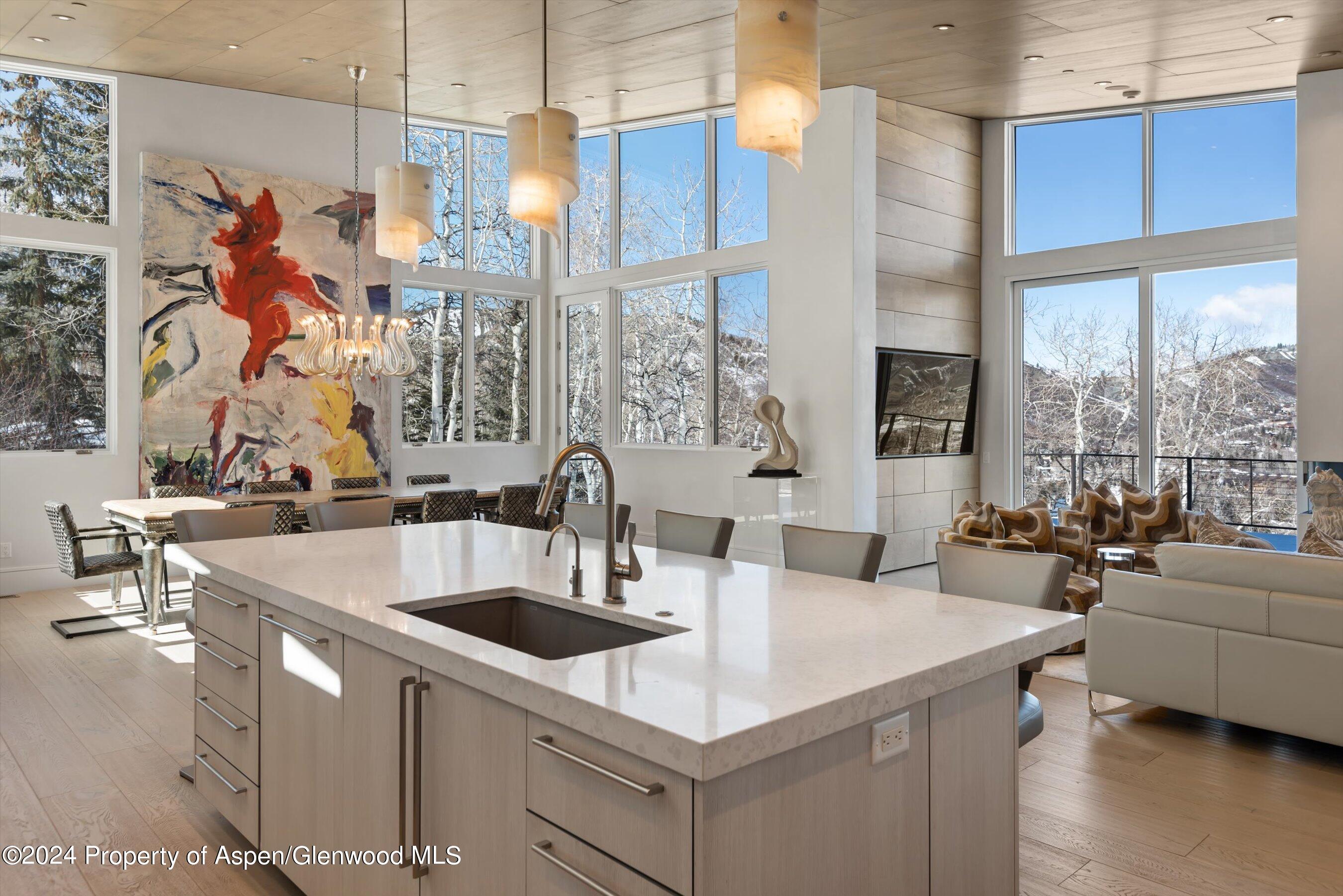 919 Fox Run Drive Snowmass Village CO 81615