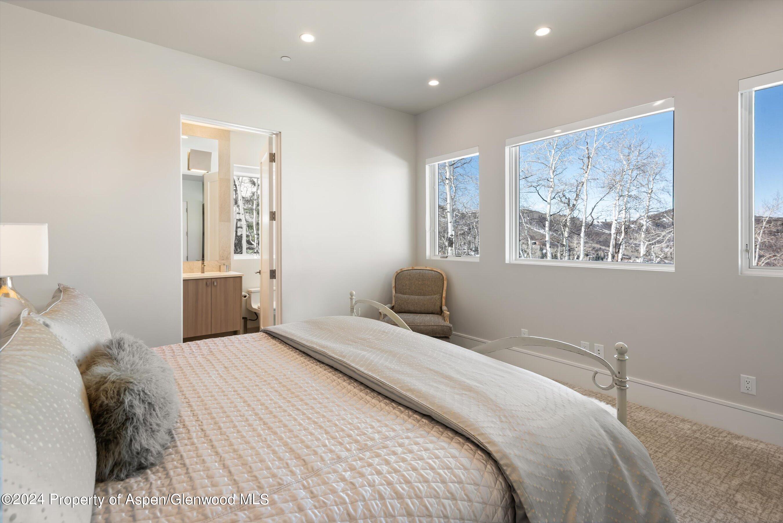 919 Fox Run Drive Snowmass Village CO 81615