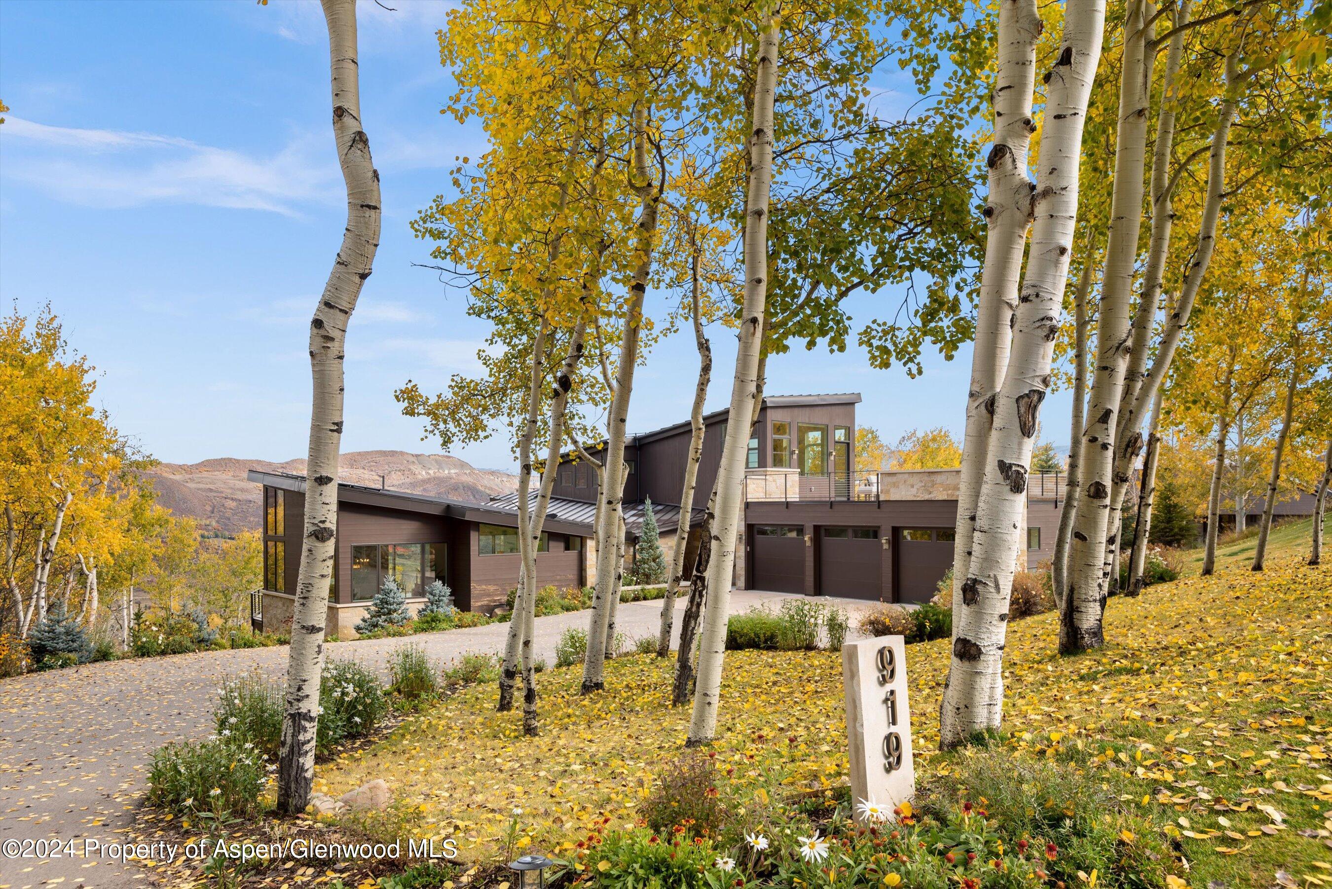 919 Fox Run Drive Snowmass Village CO 81615