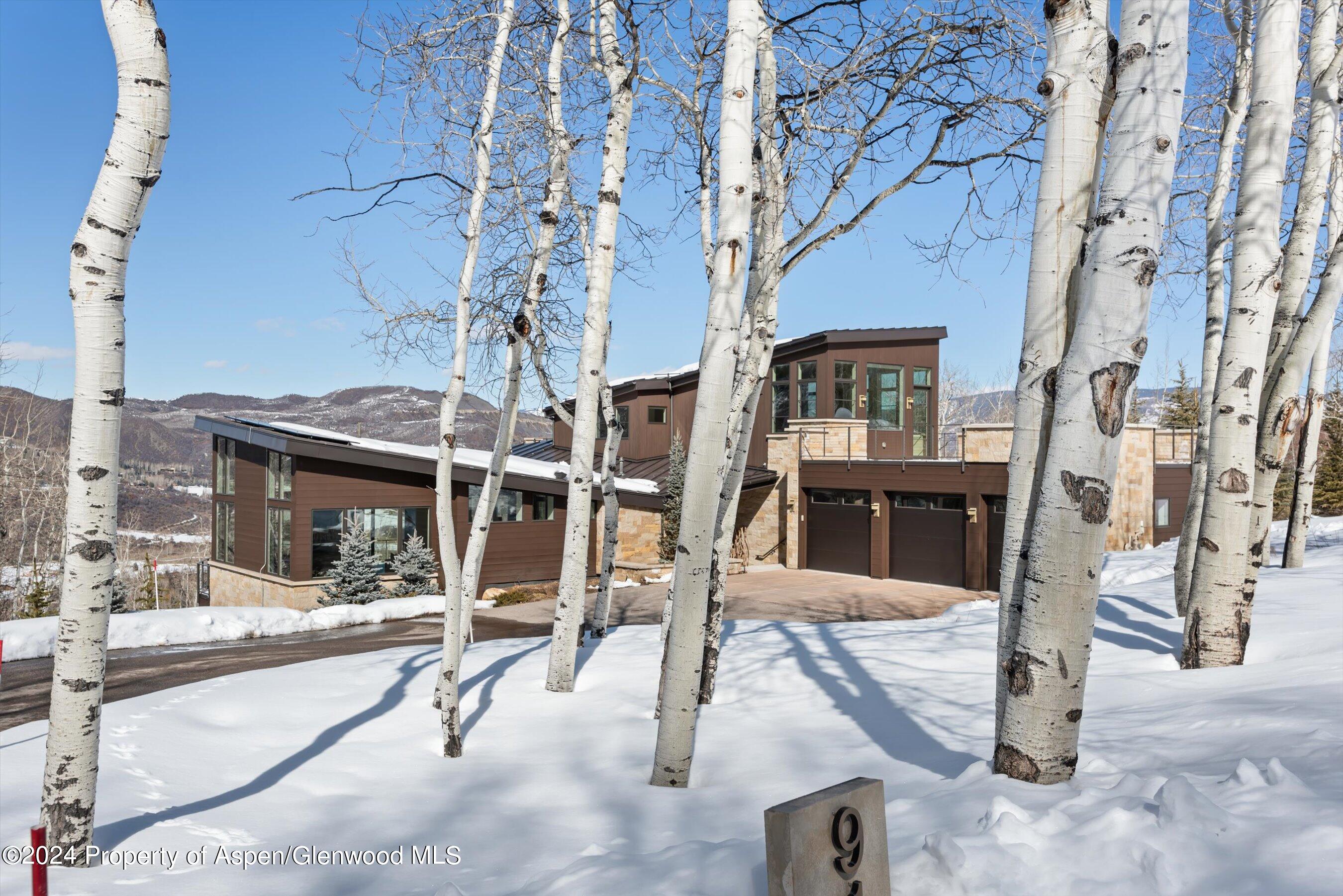 919 Fox Run Drive Snowmass Village CO 81615