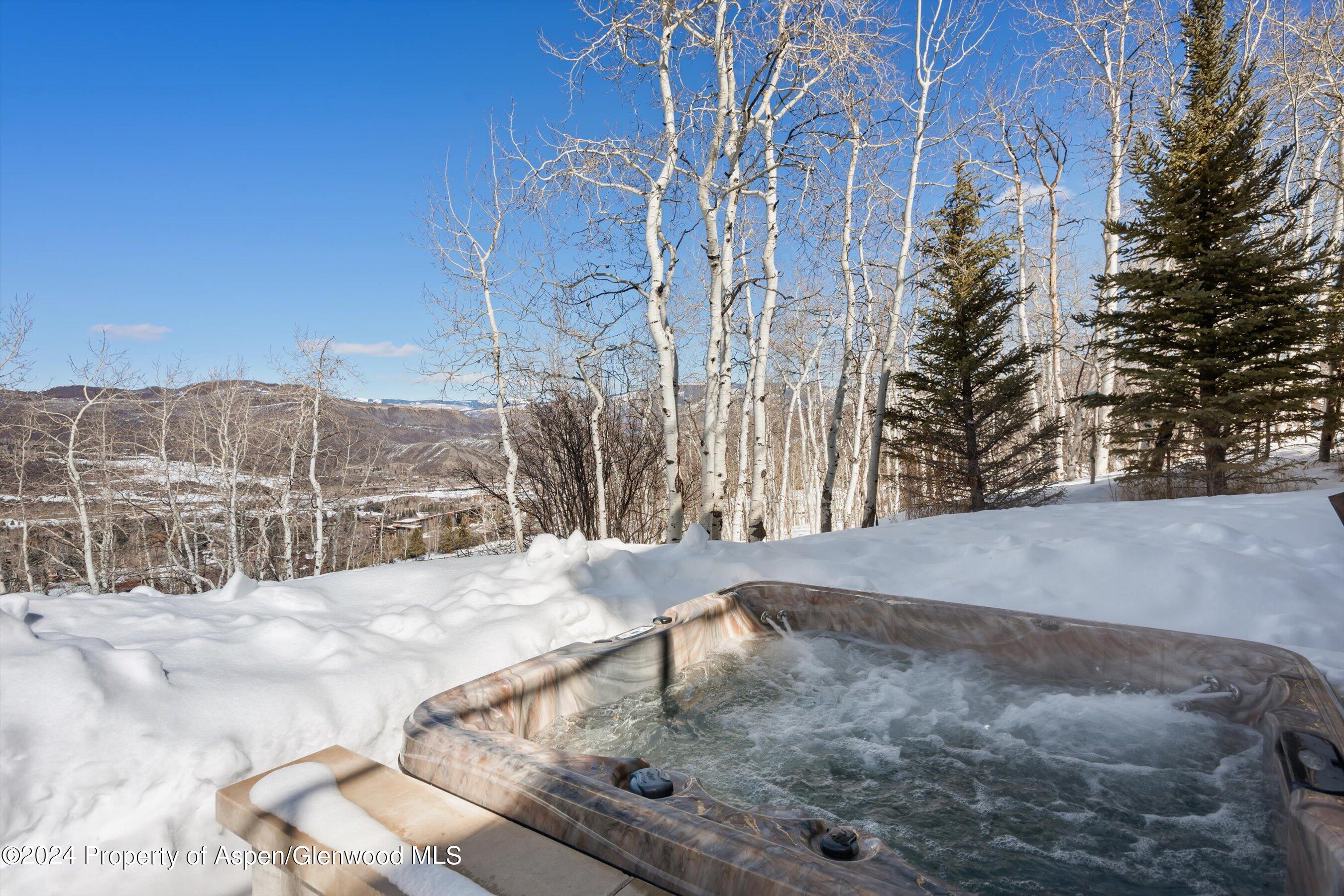 919 Fox Run Drive Snowmass Village CO 81615