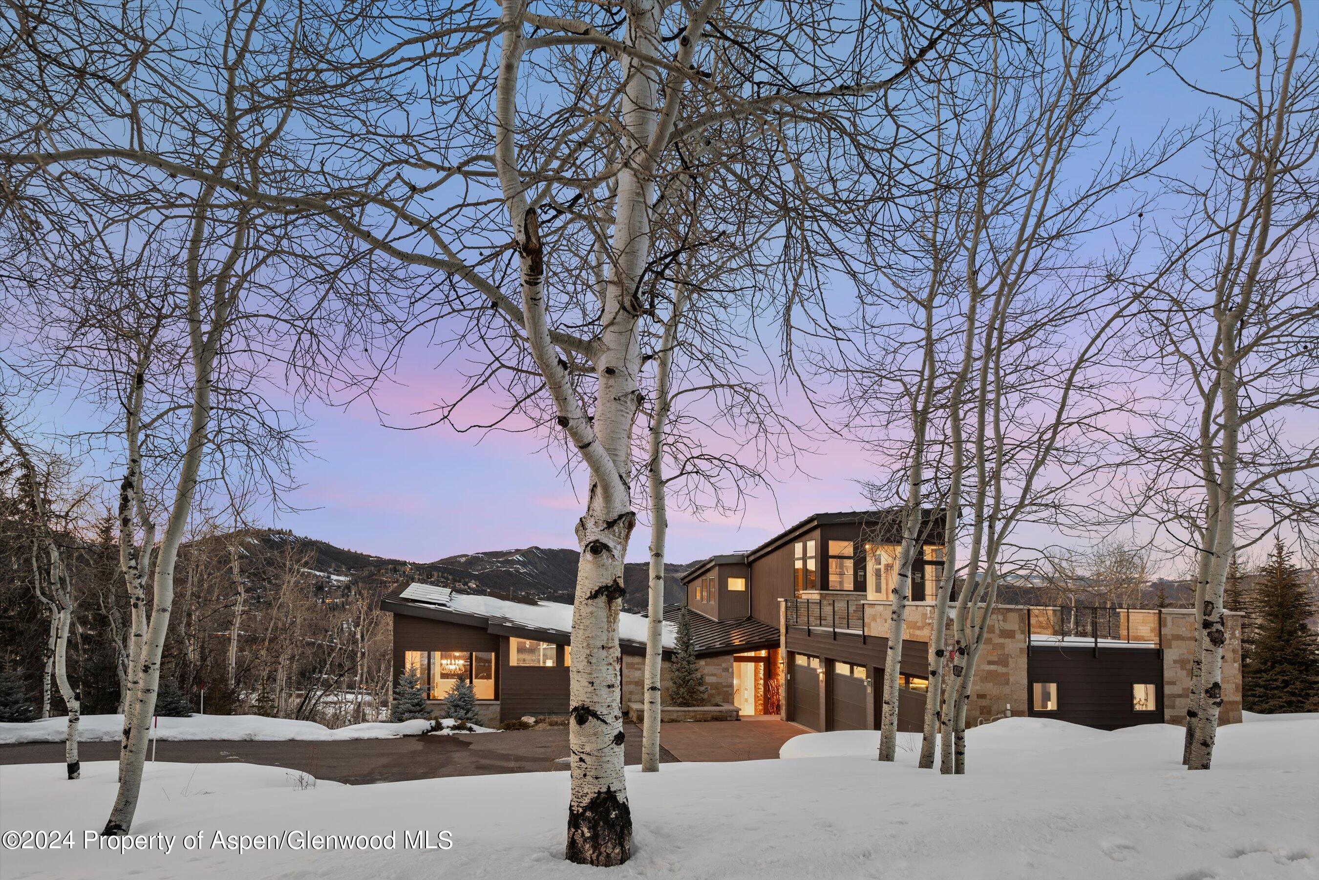 919 Fox Run Drive Snowmass Village CO 81615
