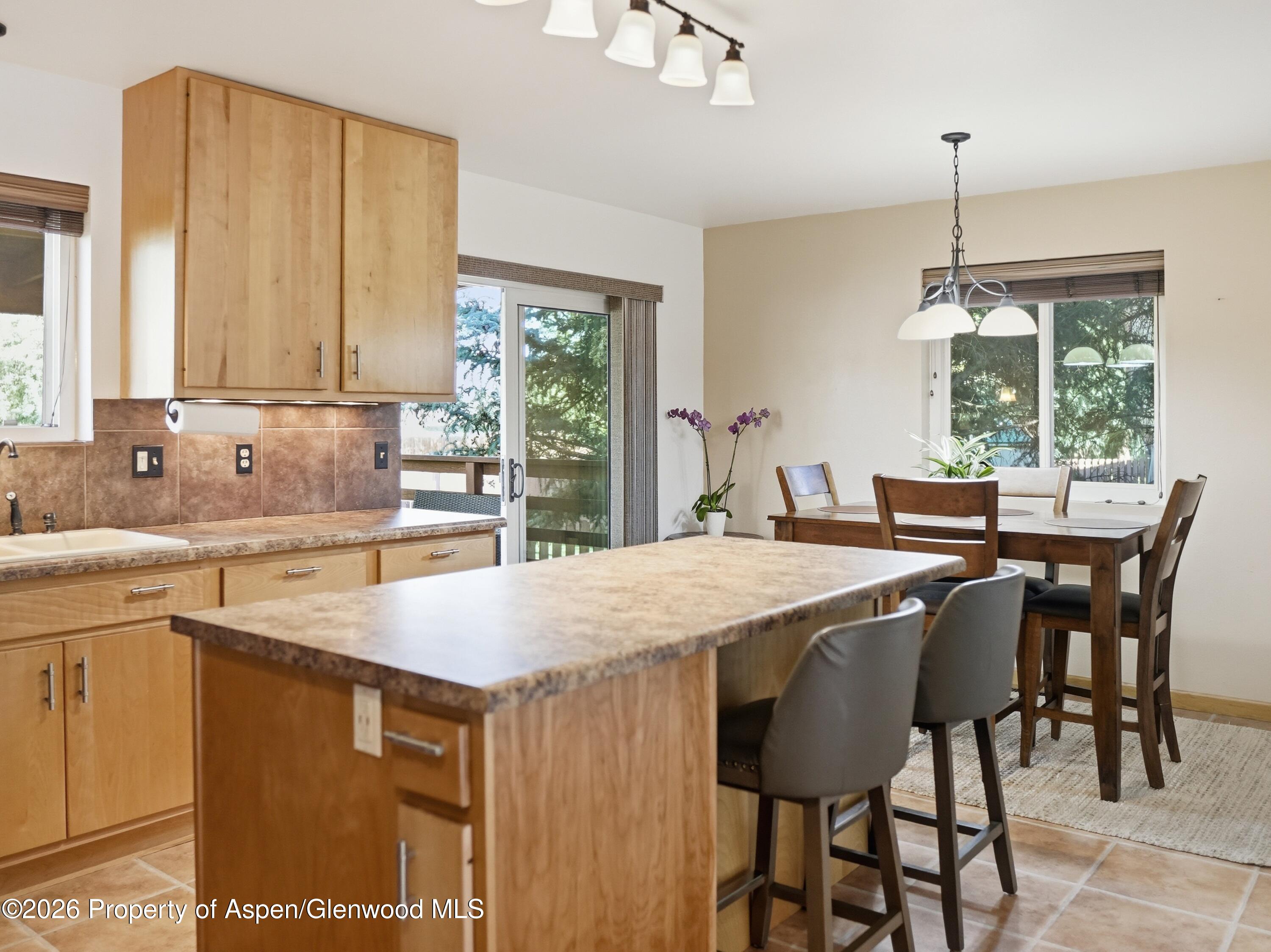 39 Coyote Circle Carbondale CO 81623