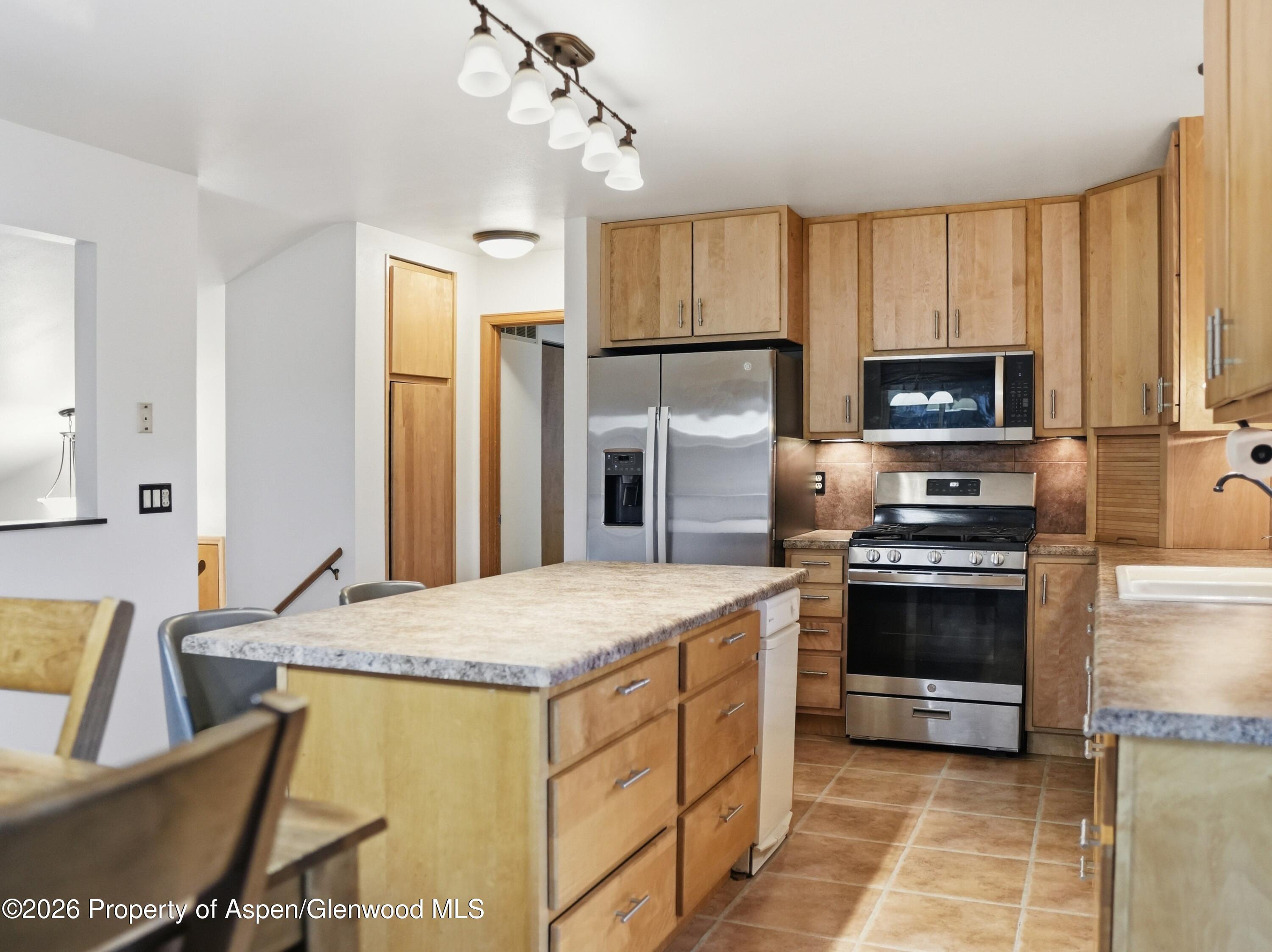 39 Coyote Circle Carbondale CO 81623