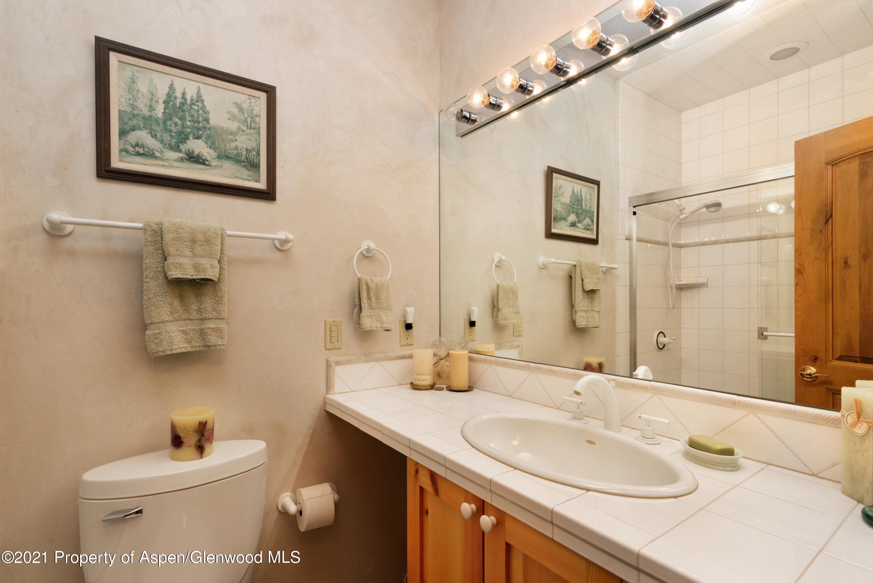 60 River Cove Basalt CO 81621