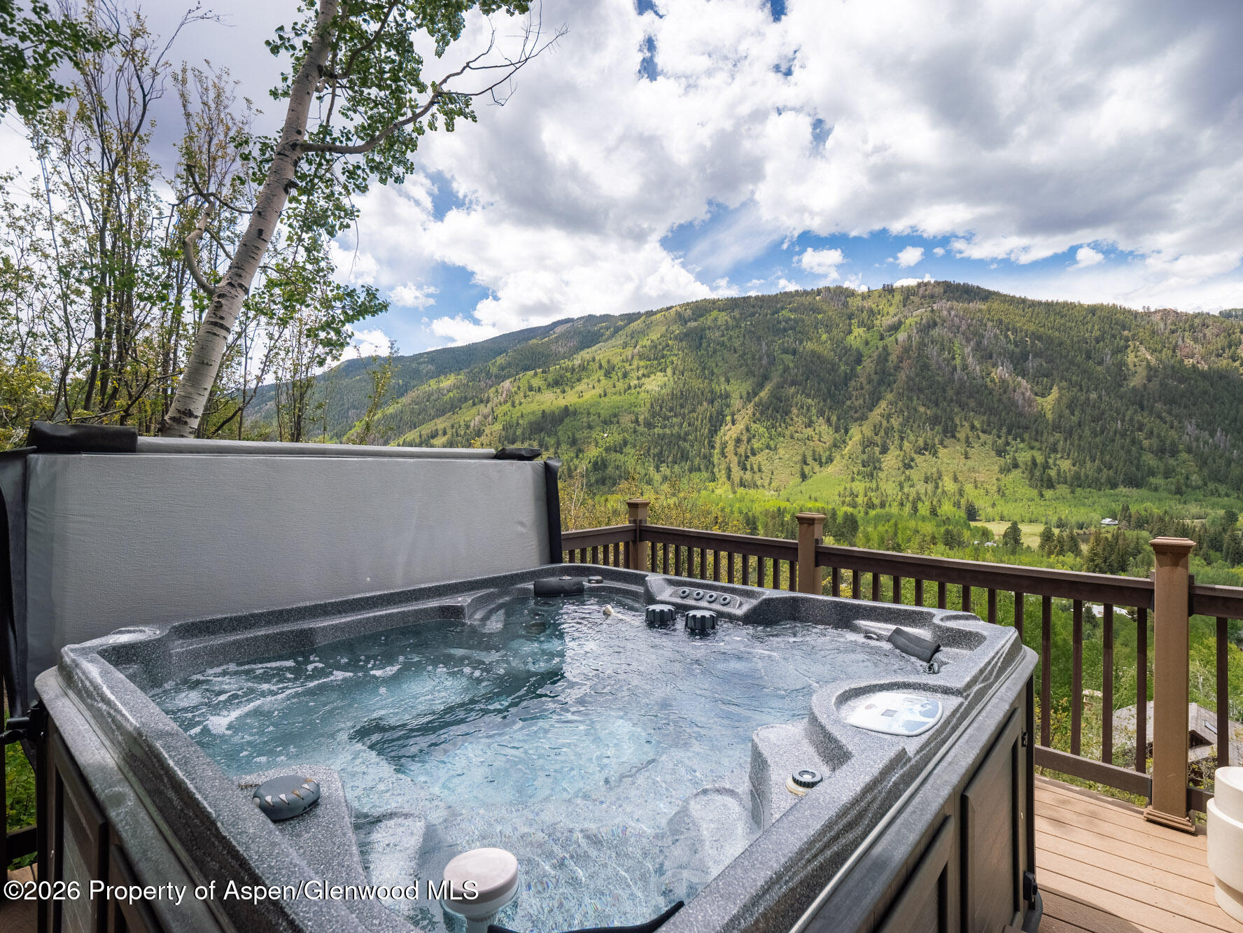 780 Mountain Laurel Drive Aspen CO 81611
