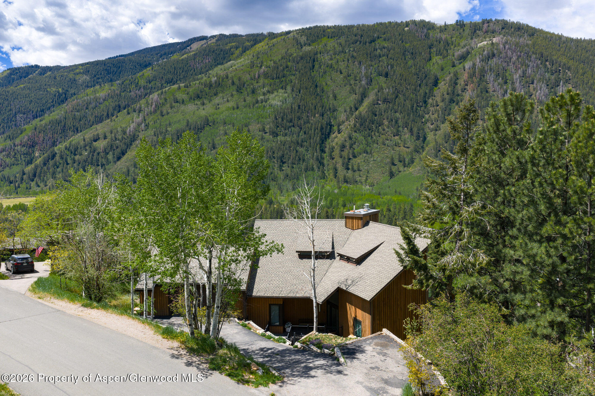 780 Mountain Laurel Drive Aspen CO 81611