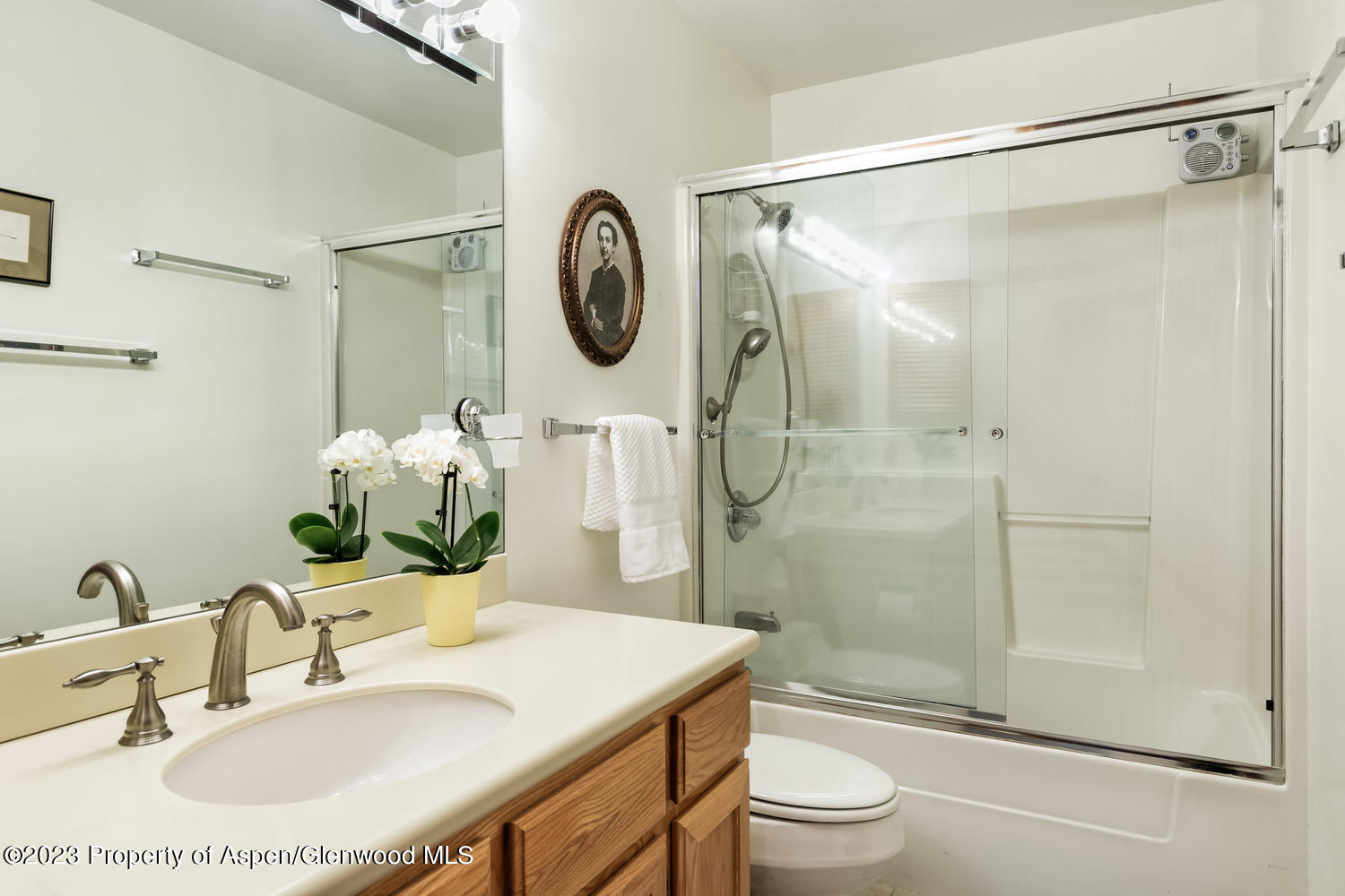 350 Riverside Drive Basalt CO 81621