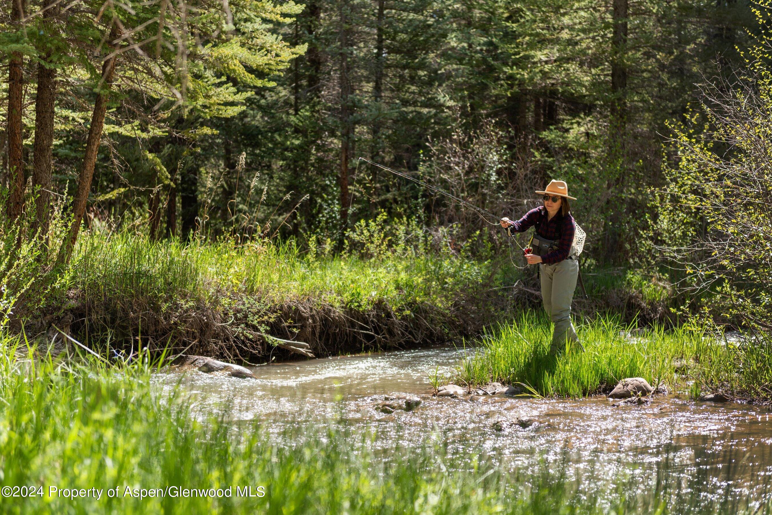 1755 Snowmass Creek Road Snowmass CO 81654