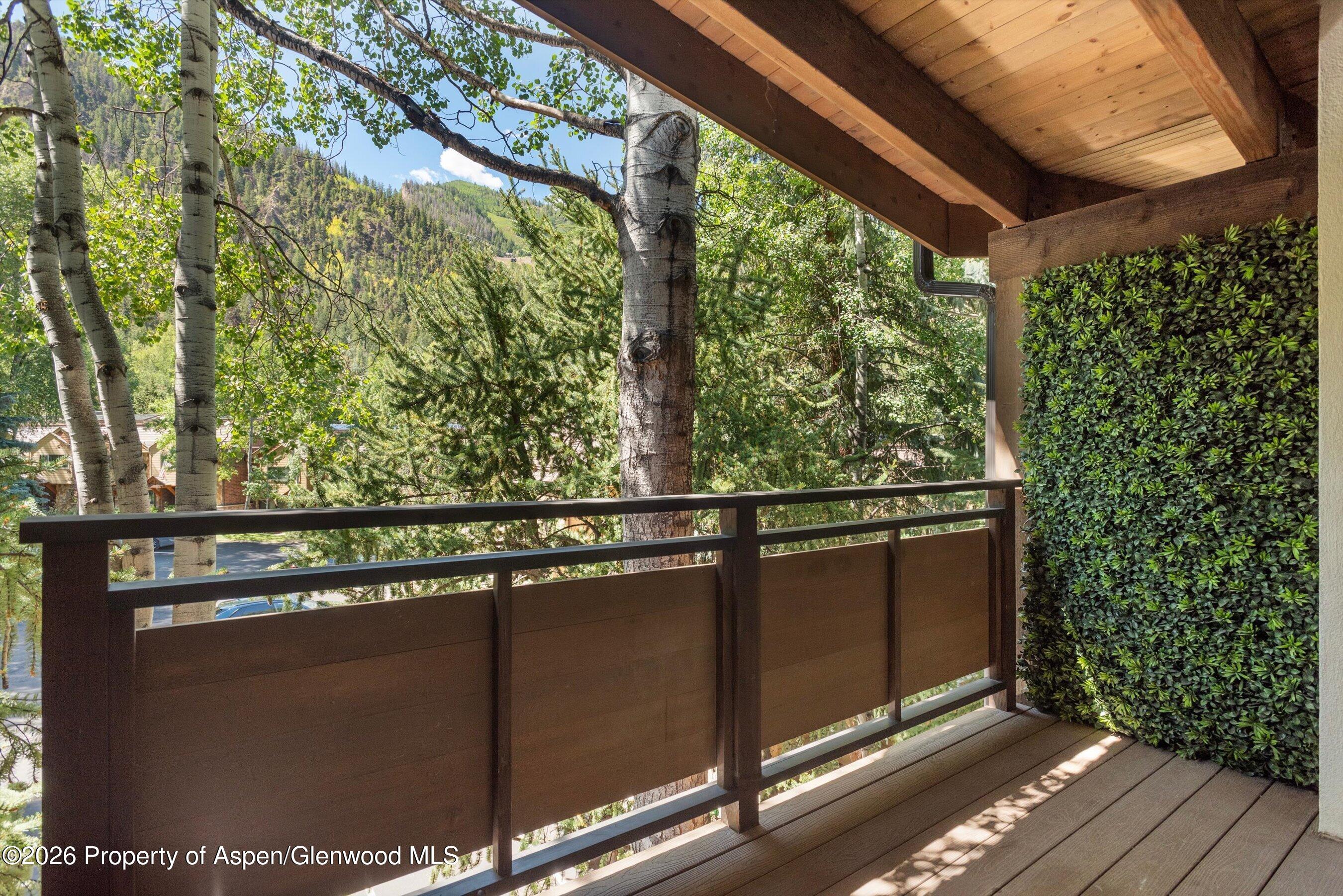 611 S West End Street Aspen CO 81611