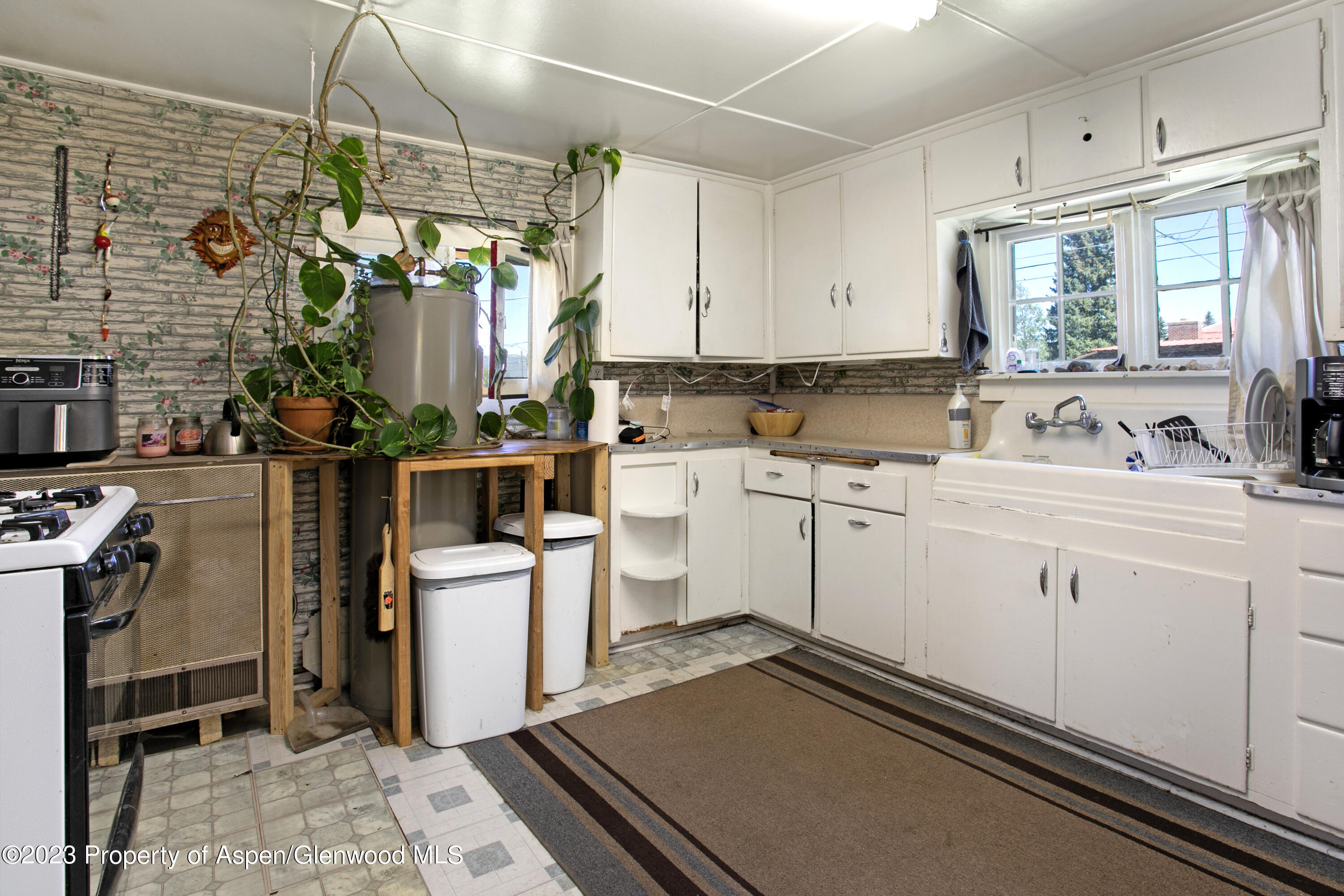 610 Elm Street Leadville CO 80461