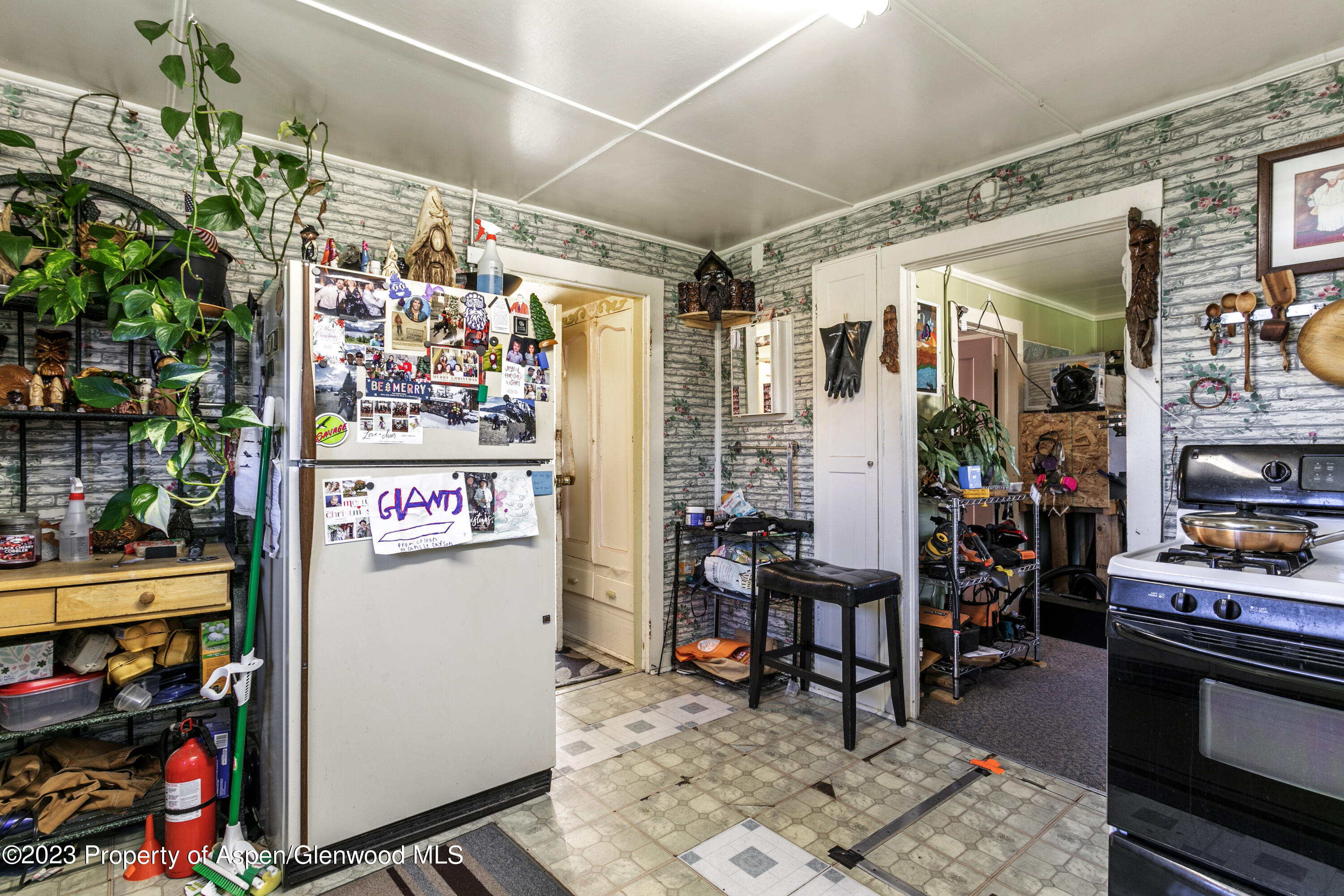 610 Elm Street Leadville CO 80461