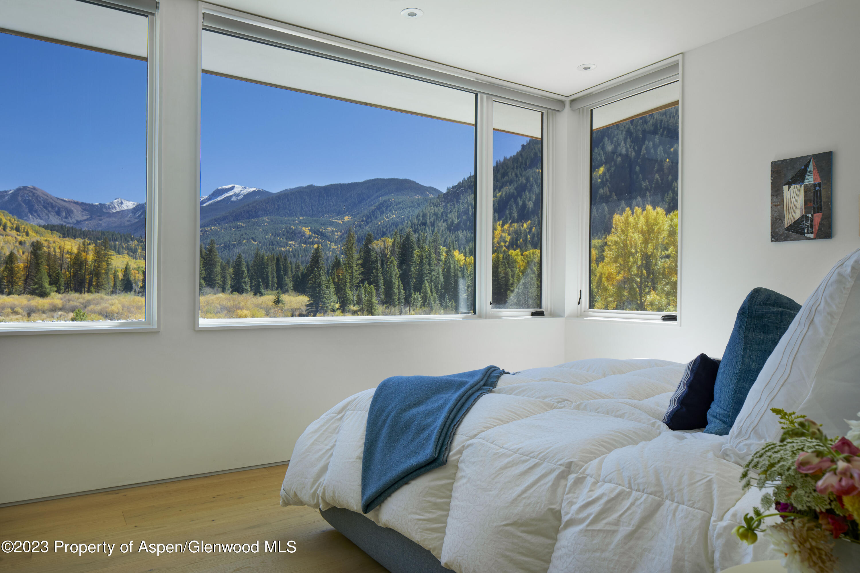 9 & 17 Ullr Way Aspen CO 81611