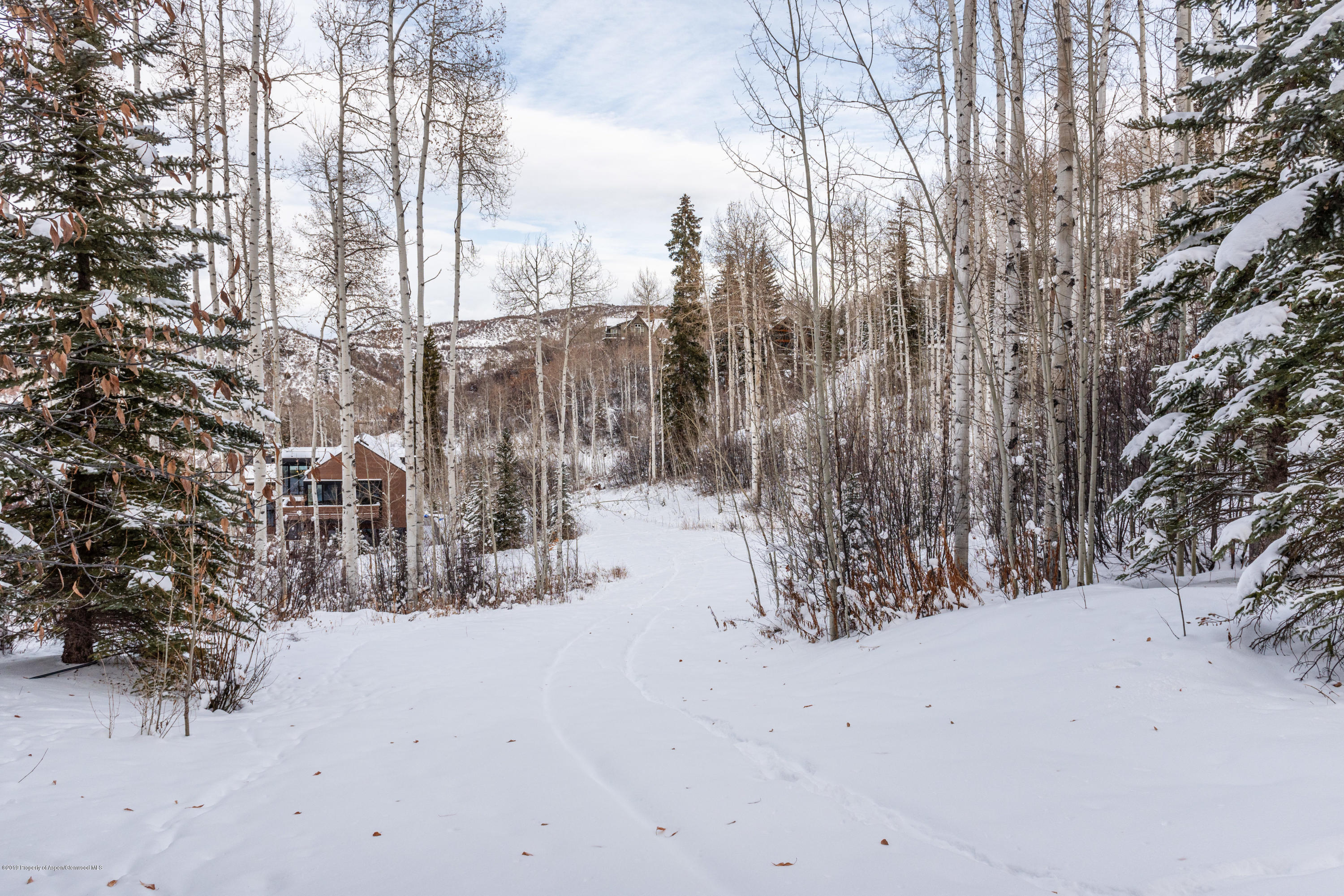 568 Mountain Crest Lane Snowmass Village CO 81615