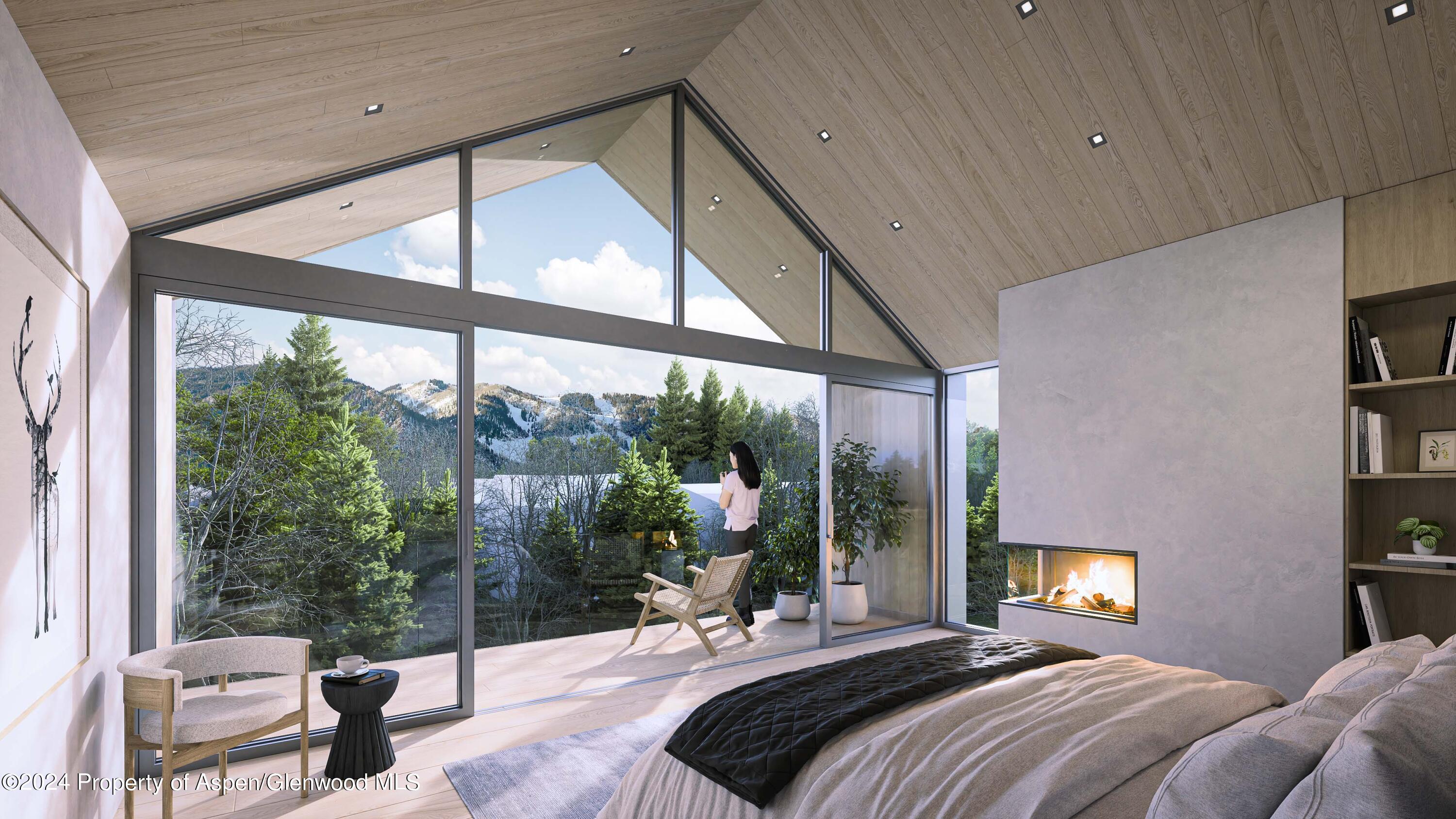 1212 E Hopkins Avenue Aspen CO 81611