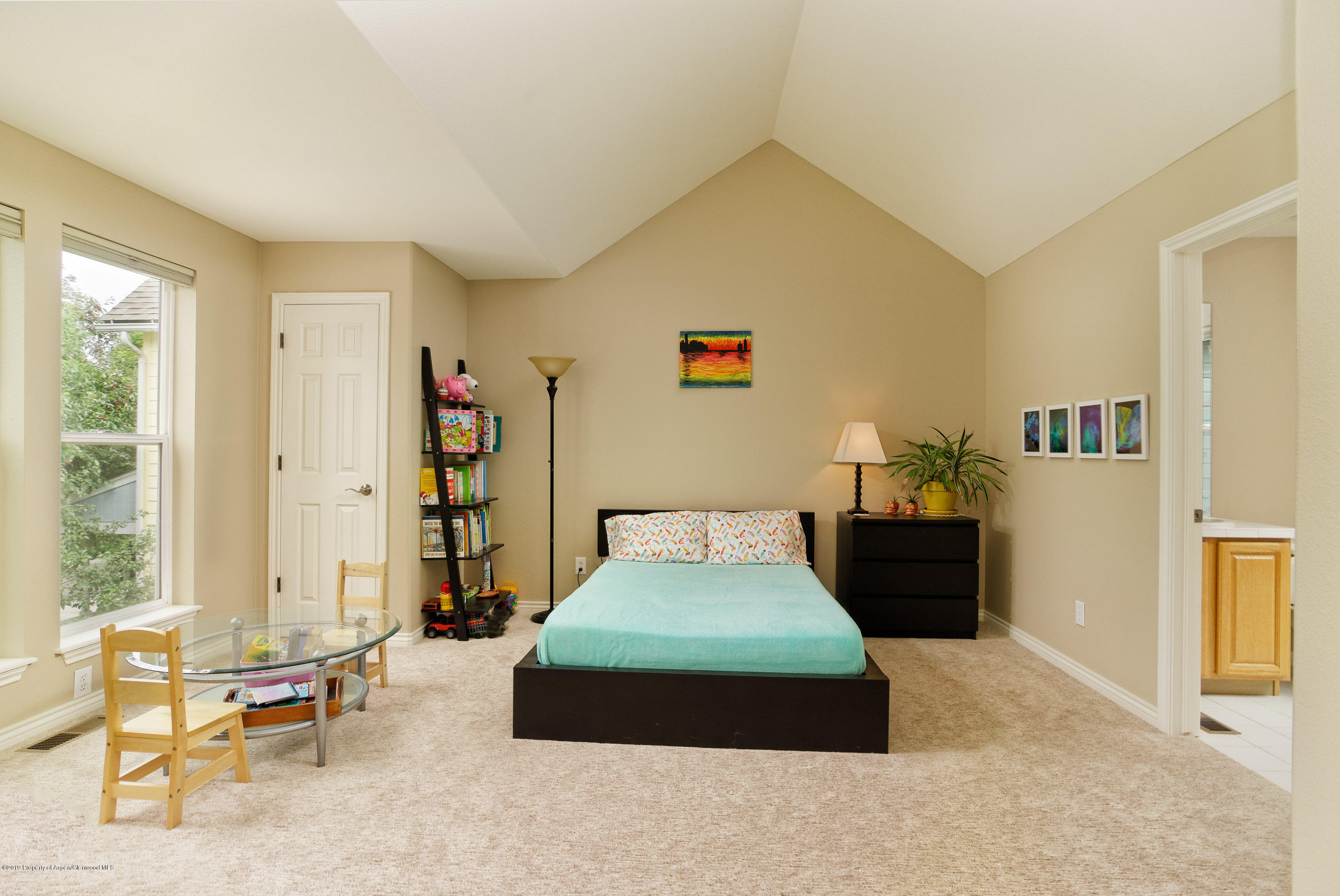 74 Ferguson Drive Carbondale CO 81623