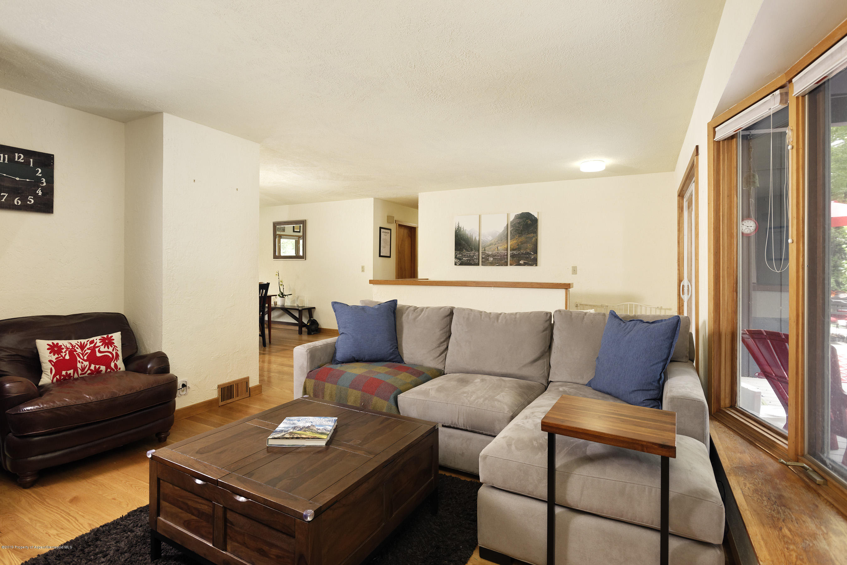 564 Grace Drive Carbondale CO 81623