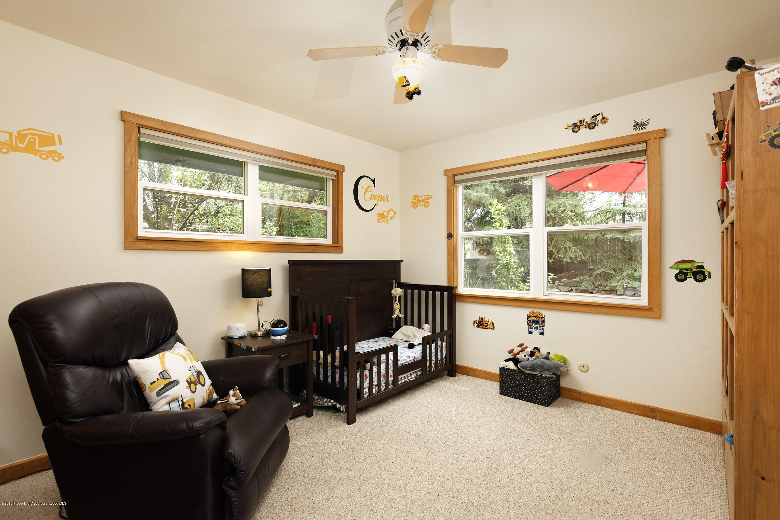 564 Grace Drive Carbondale CO 81623