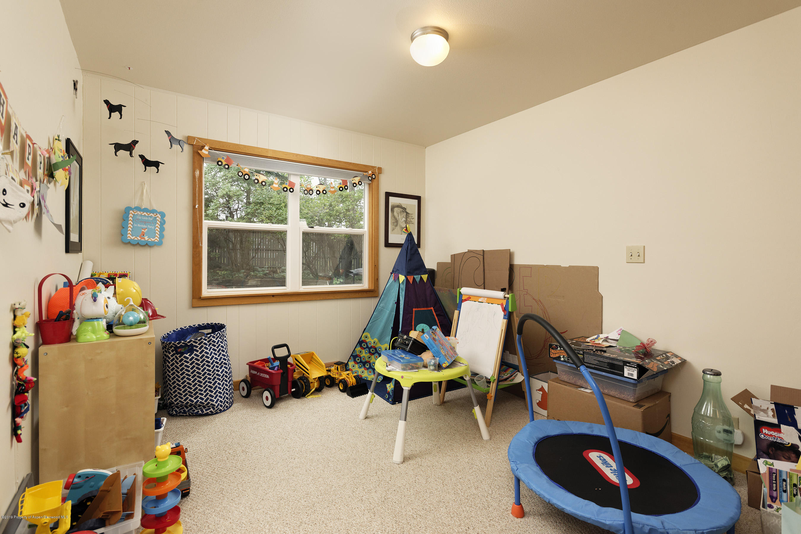 564 Grace Drive Carbondale CO 81623