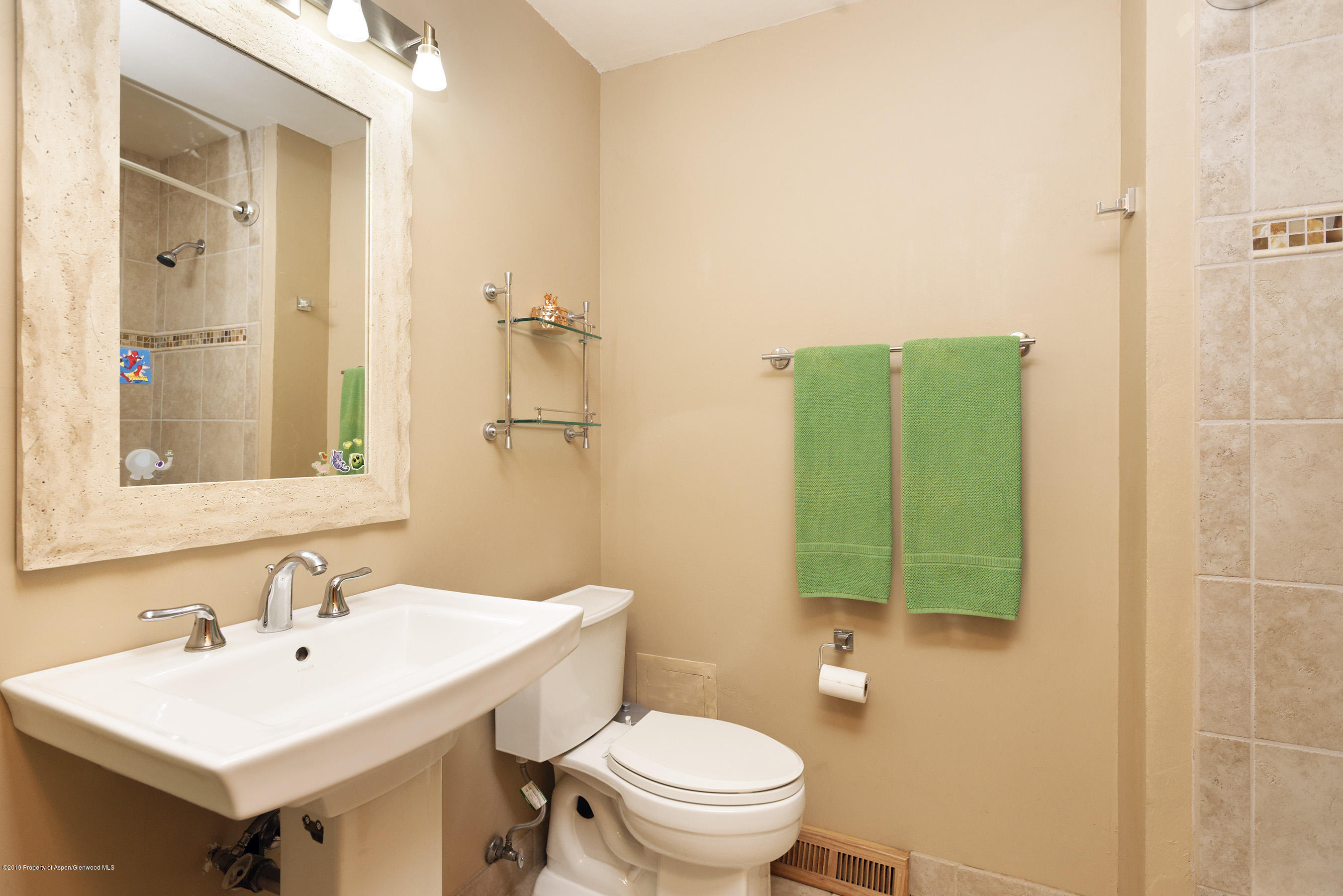 564 Grace Drive Carbondale CO 81623