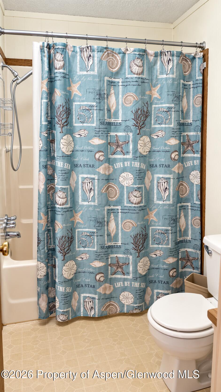 33 W Tamarack Circle Parachute CO 81635