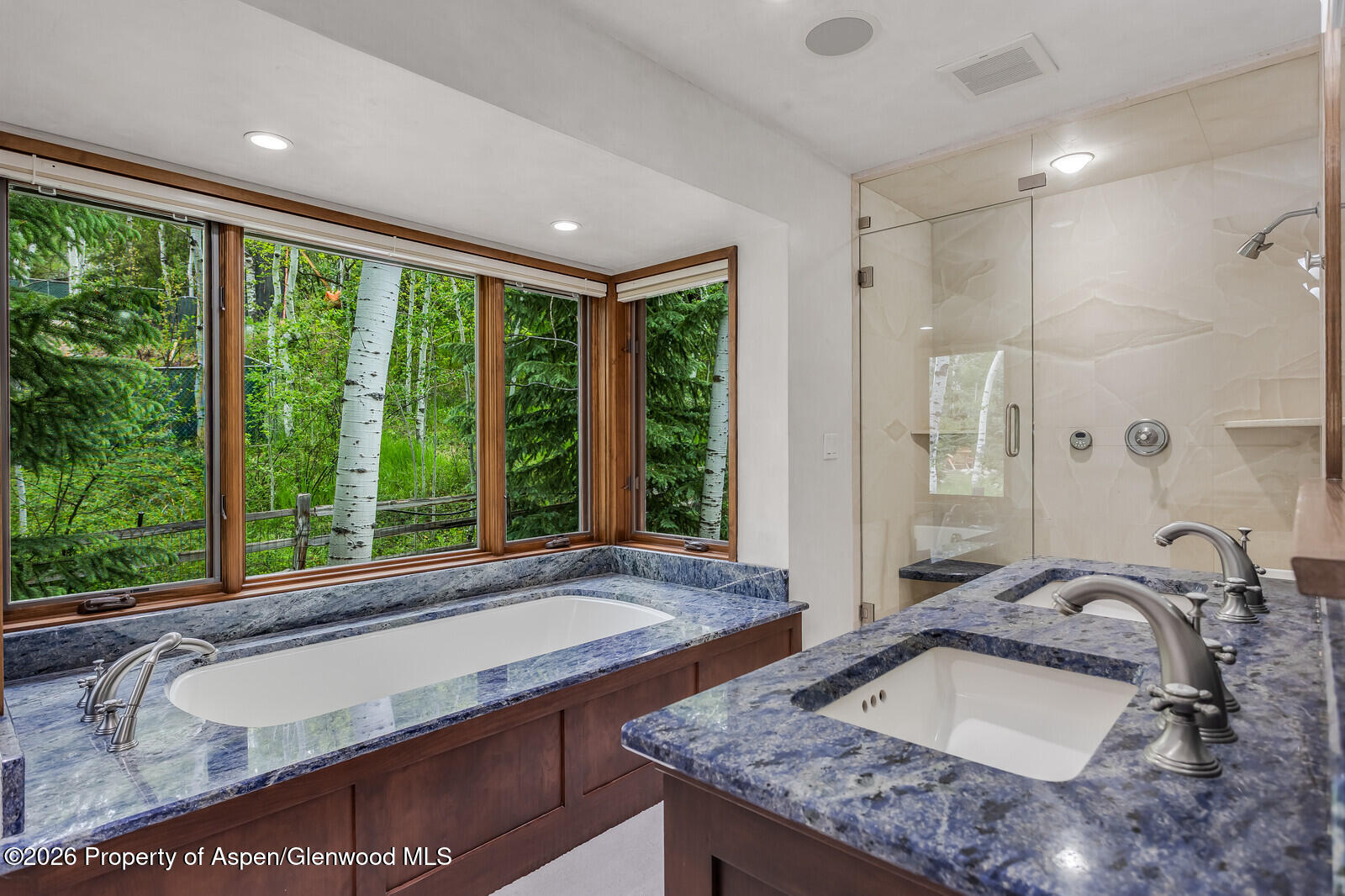 203 Eastwood Drive Aspen CO 81611