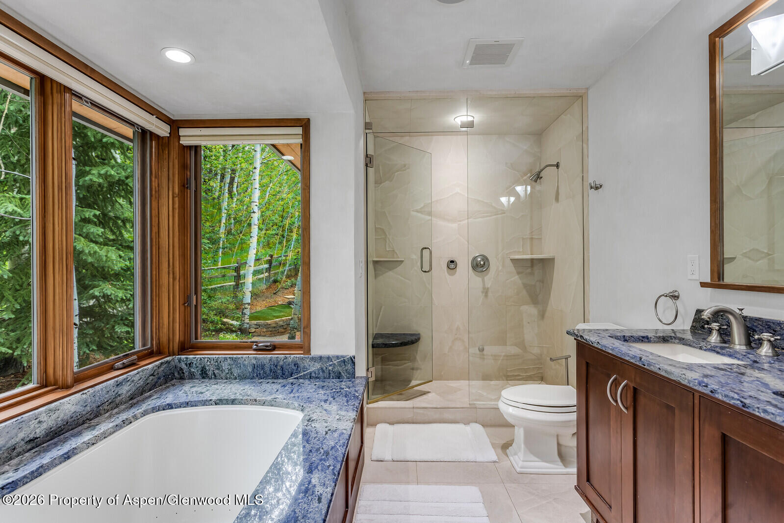 203 Eastwood Drive Aspen CO 81611