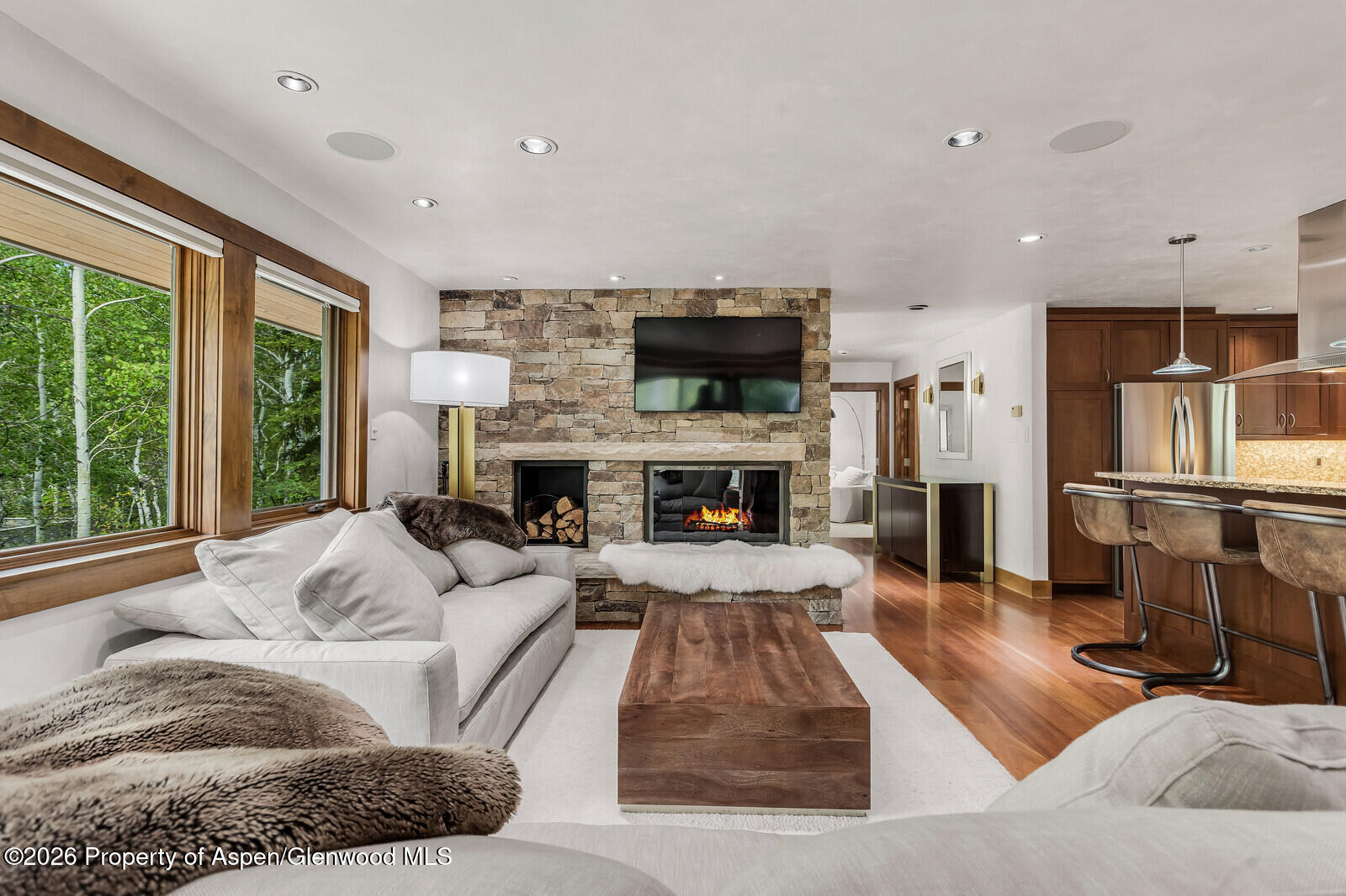 203 Eastwood Drive Aspen CO 81611