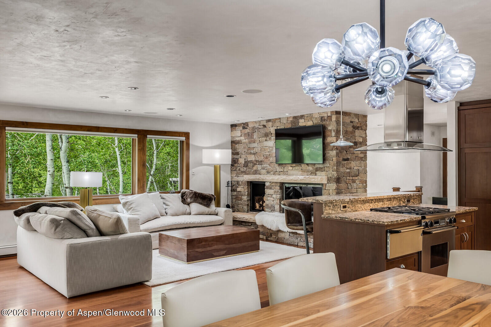 203 Eastwood Drive Aspen CO 81611