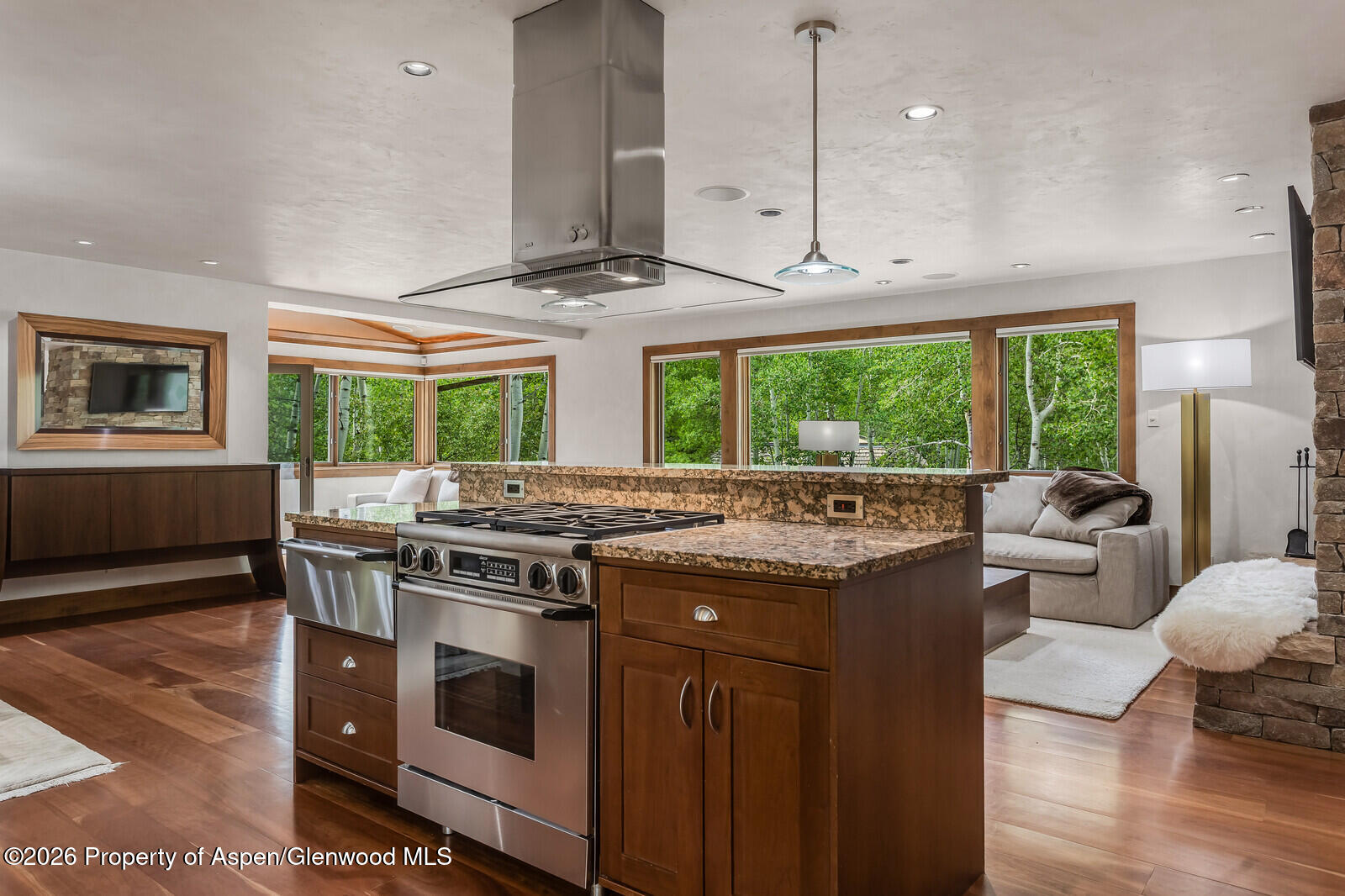 203 Eastwood Drive Aspen CO 81611