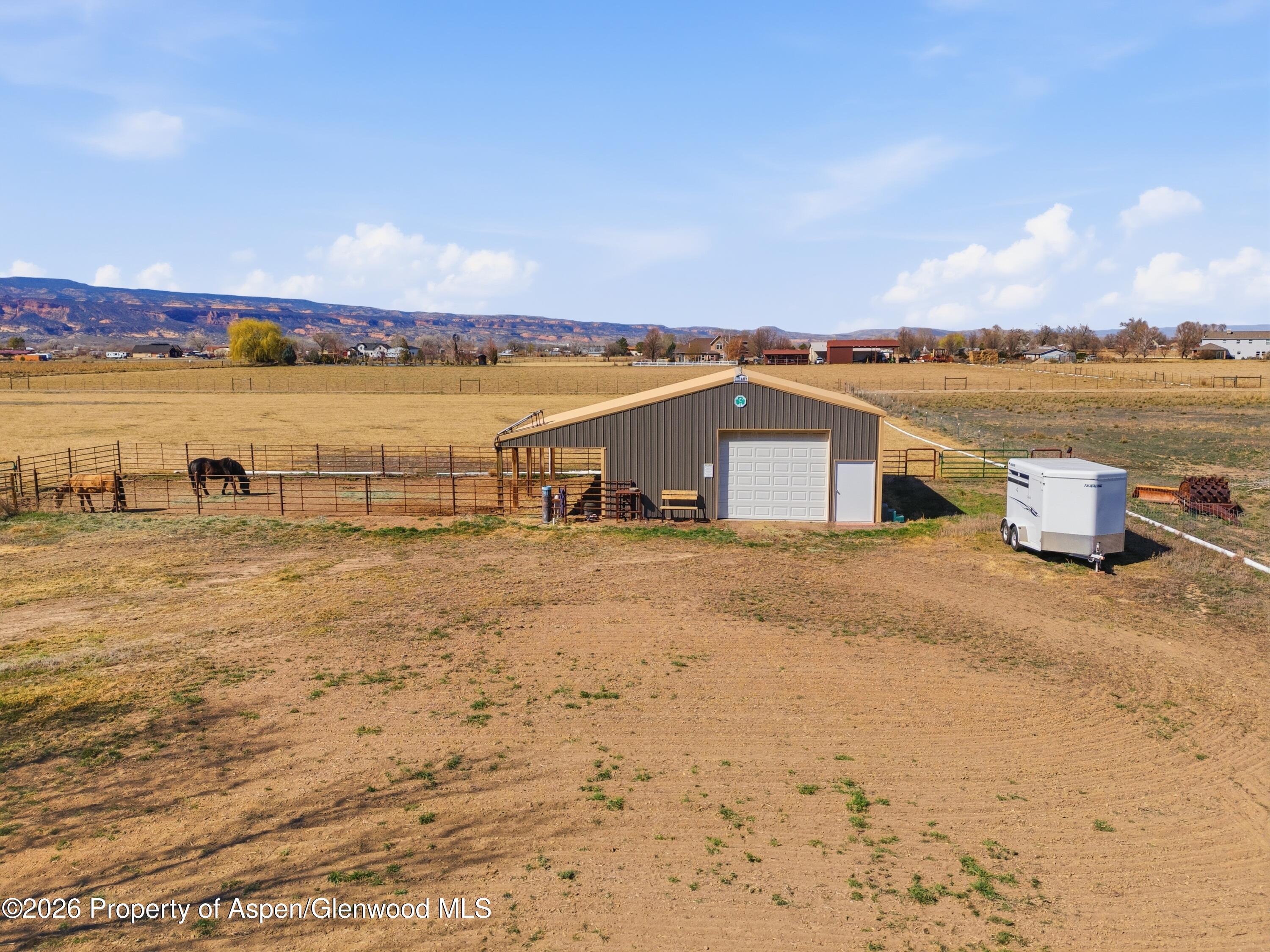 1081 20 Road Fruita CO 81521