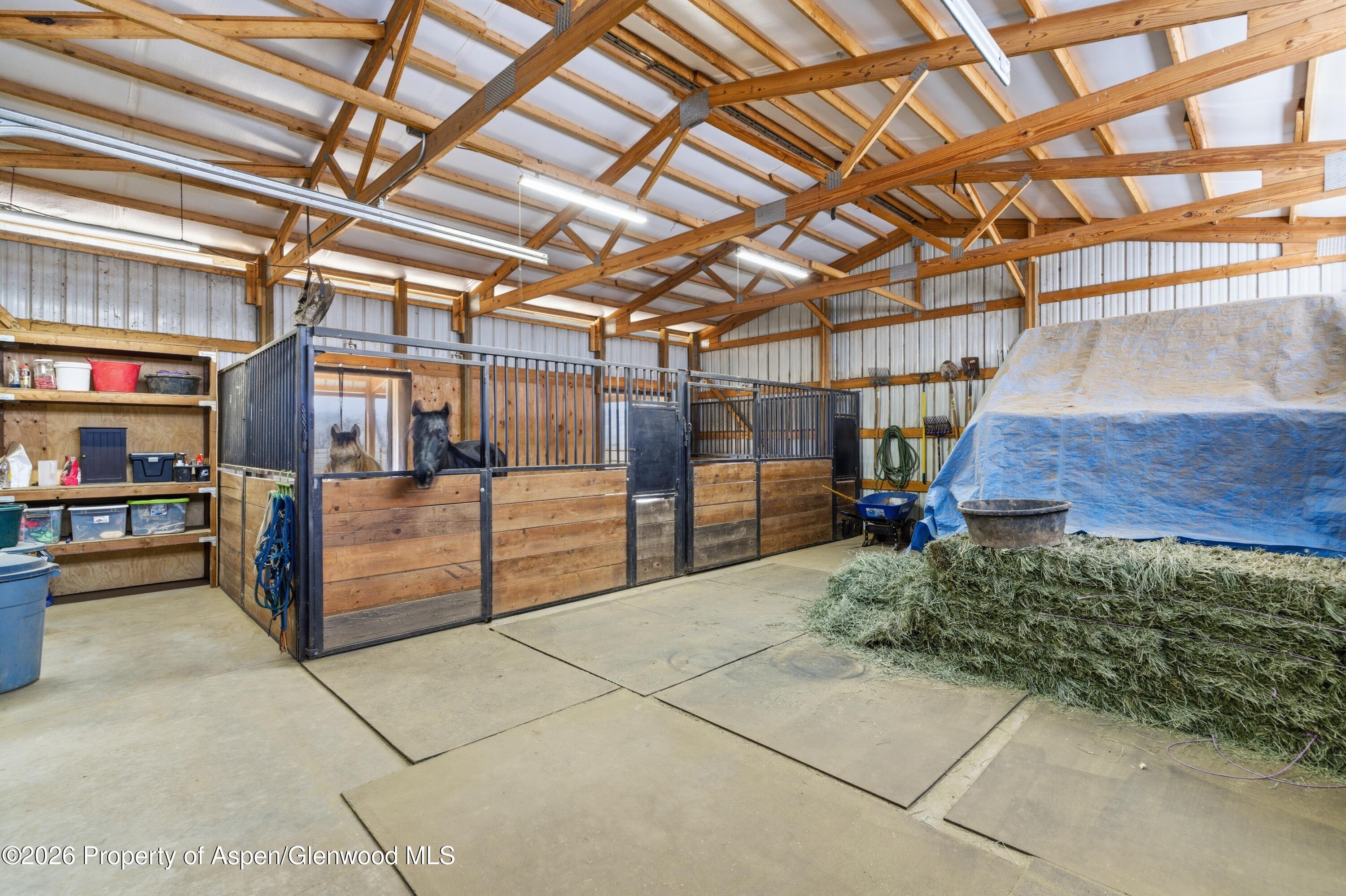 1081 20 Road Fruita CO 81521