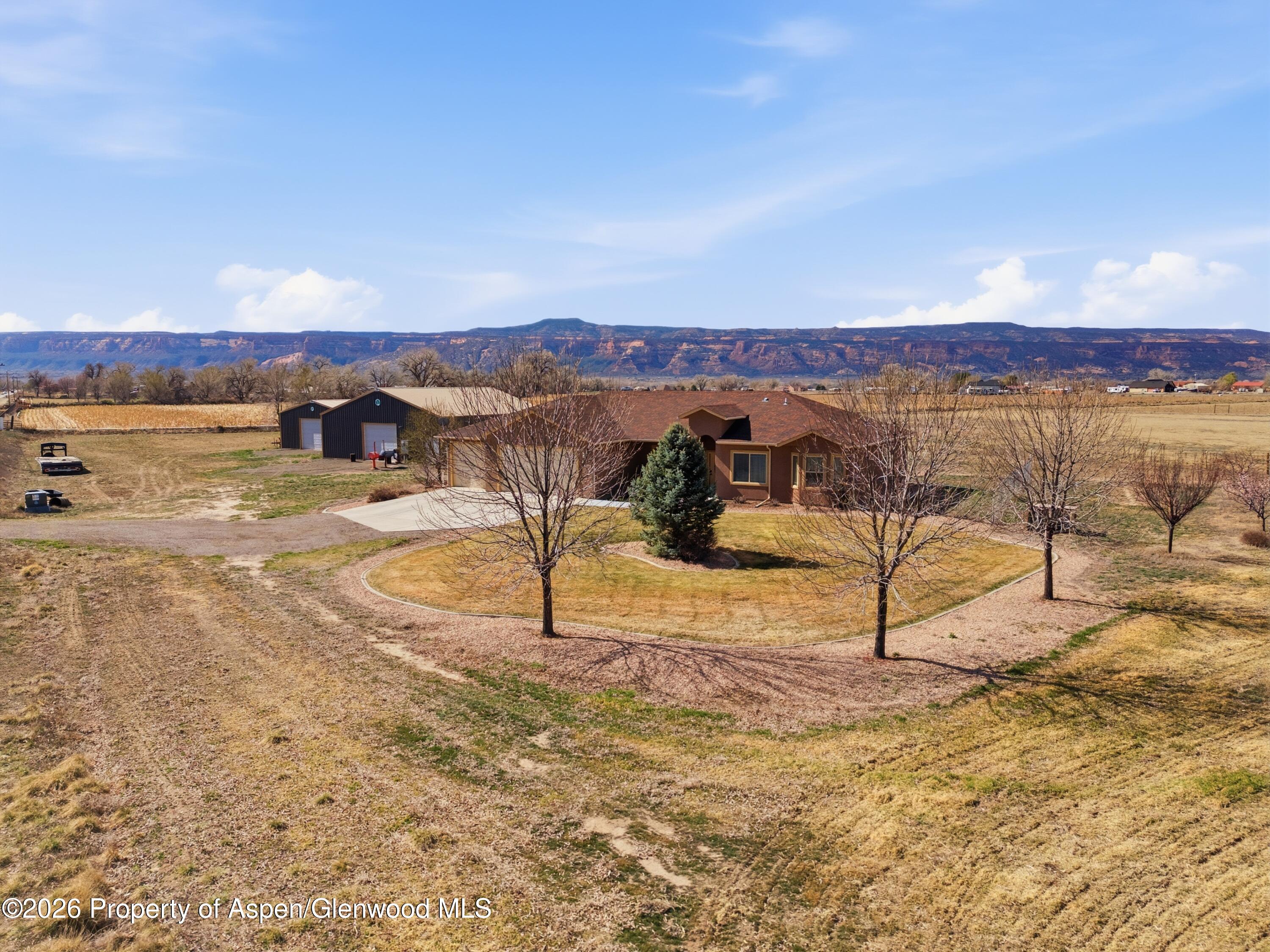1081 20 Road Fruita CO 81521