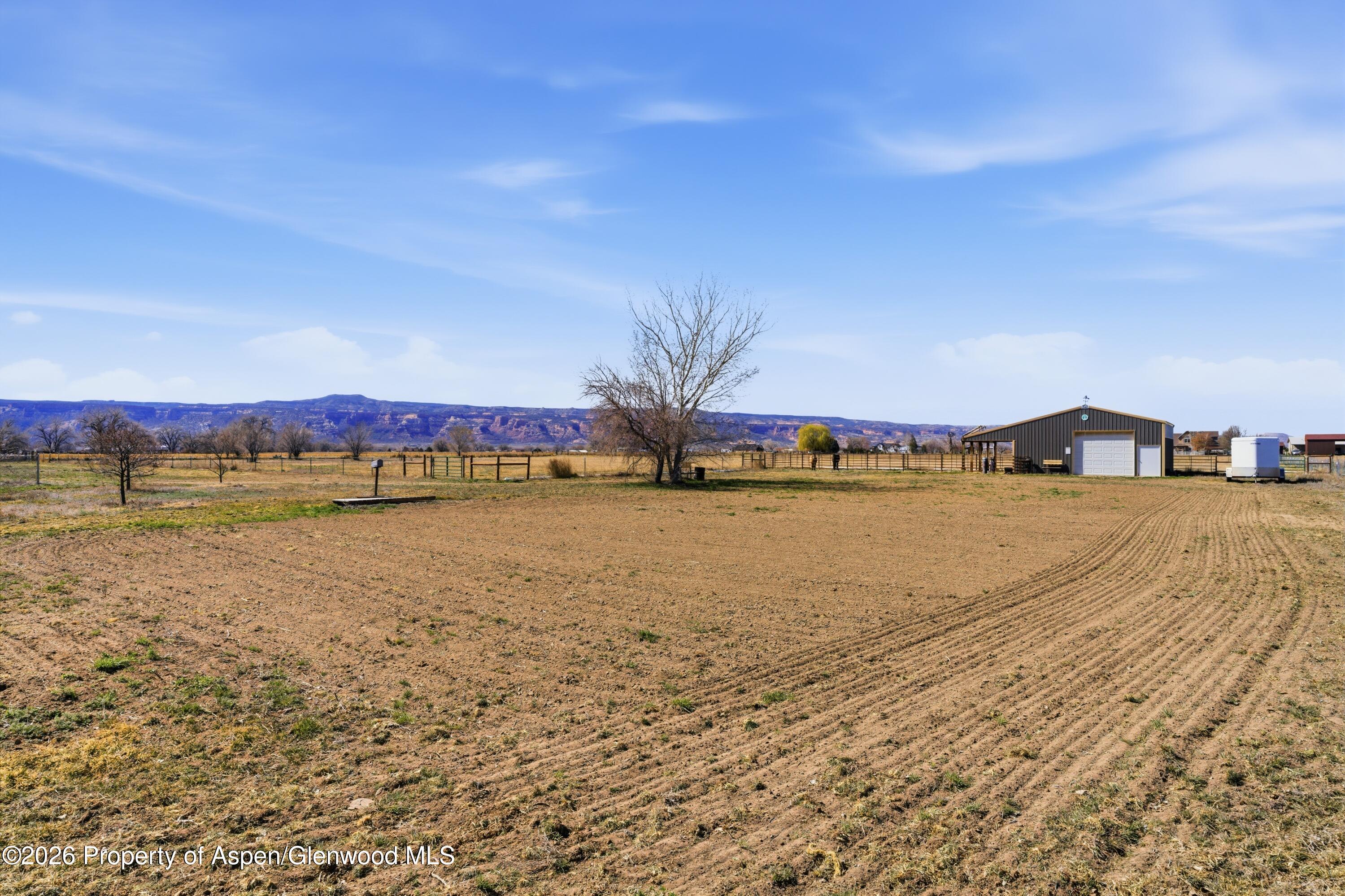 1081 20 Road Fruita CO 81521