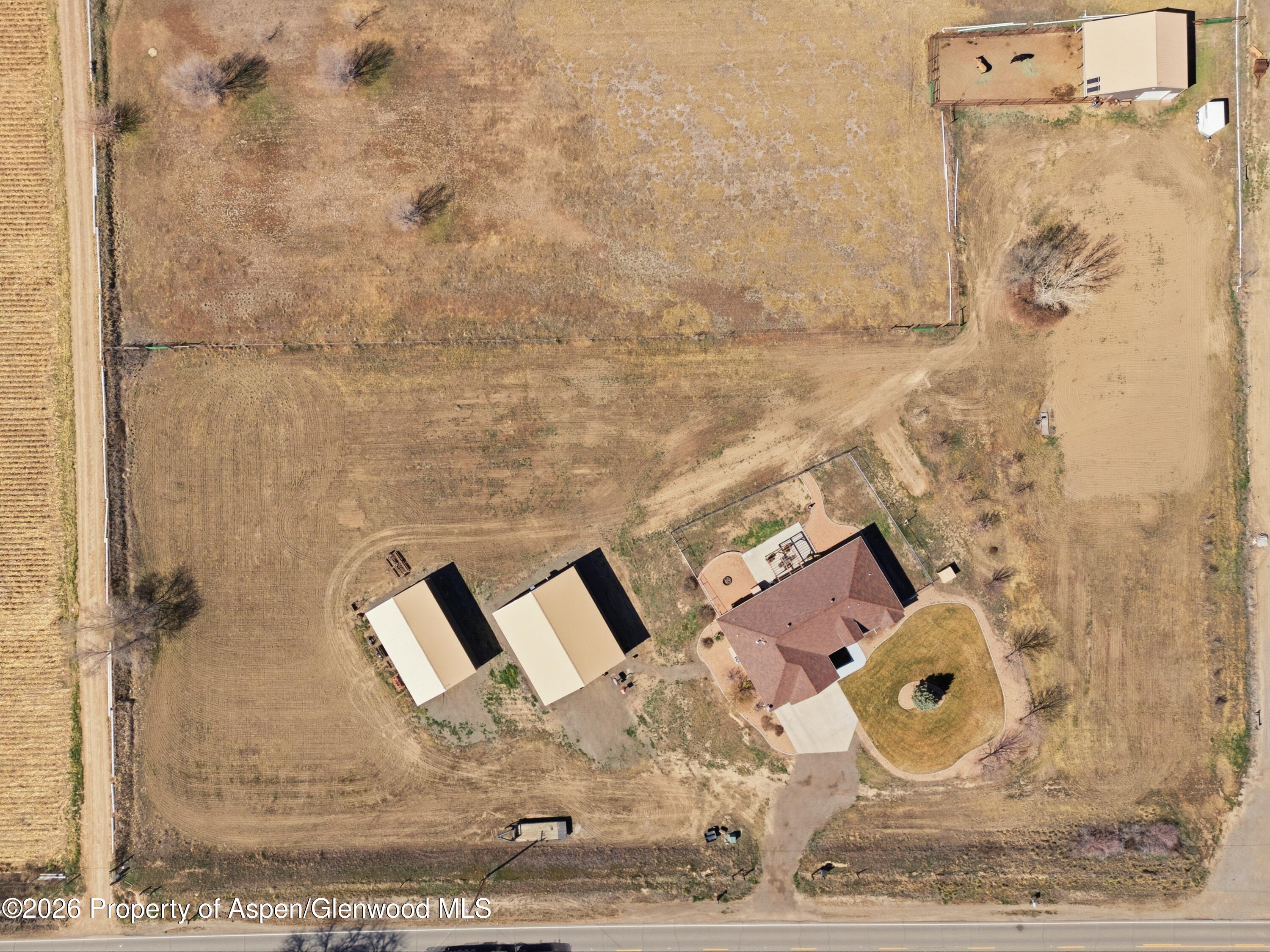 1081 20 Road Fruita CO 81521