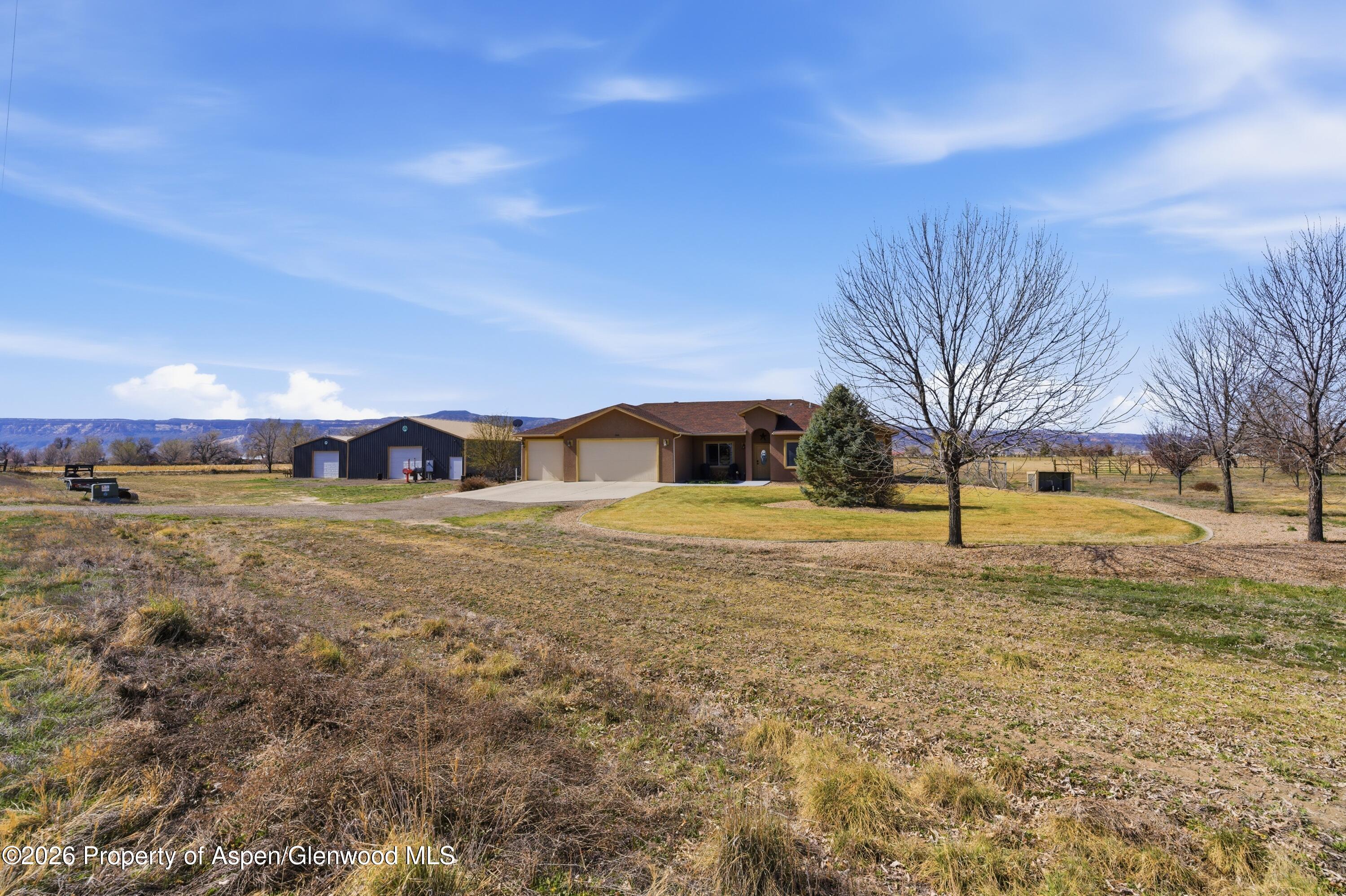 1081 20 Road Fruita CO 81521