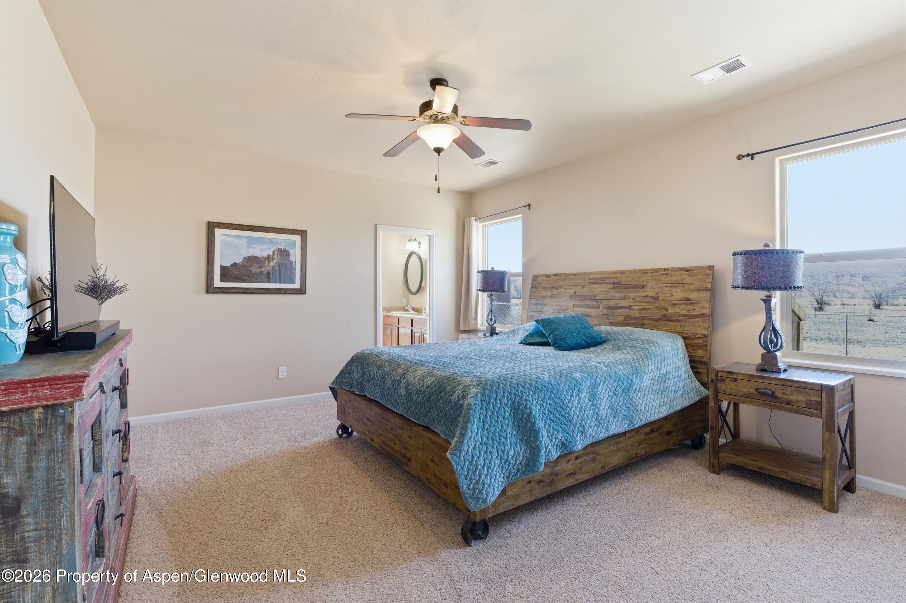 1081 20 Road Fruita CO 81521