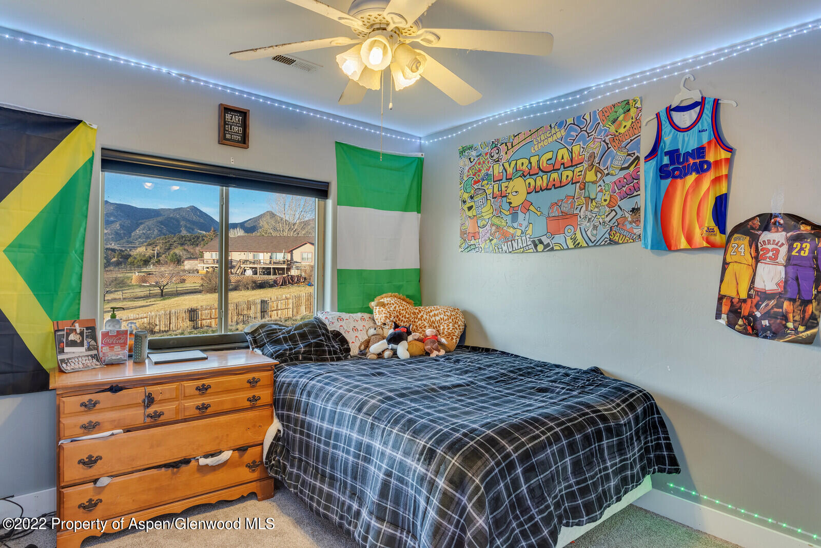 1103 N 16th Street Silt CO 81652