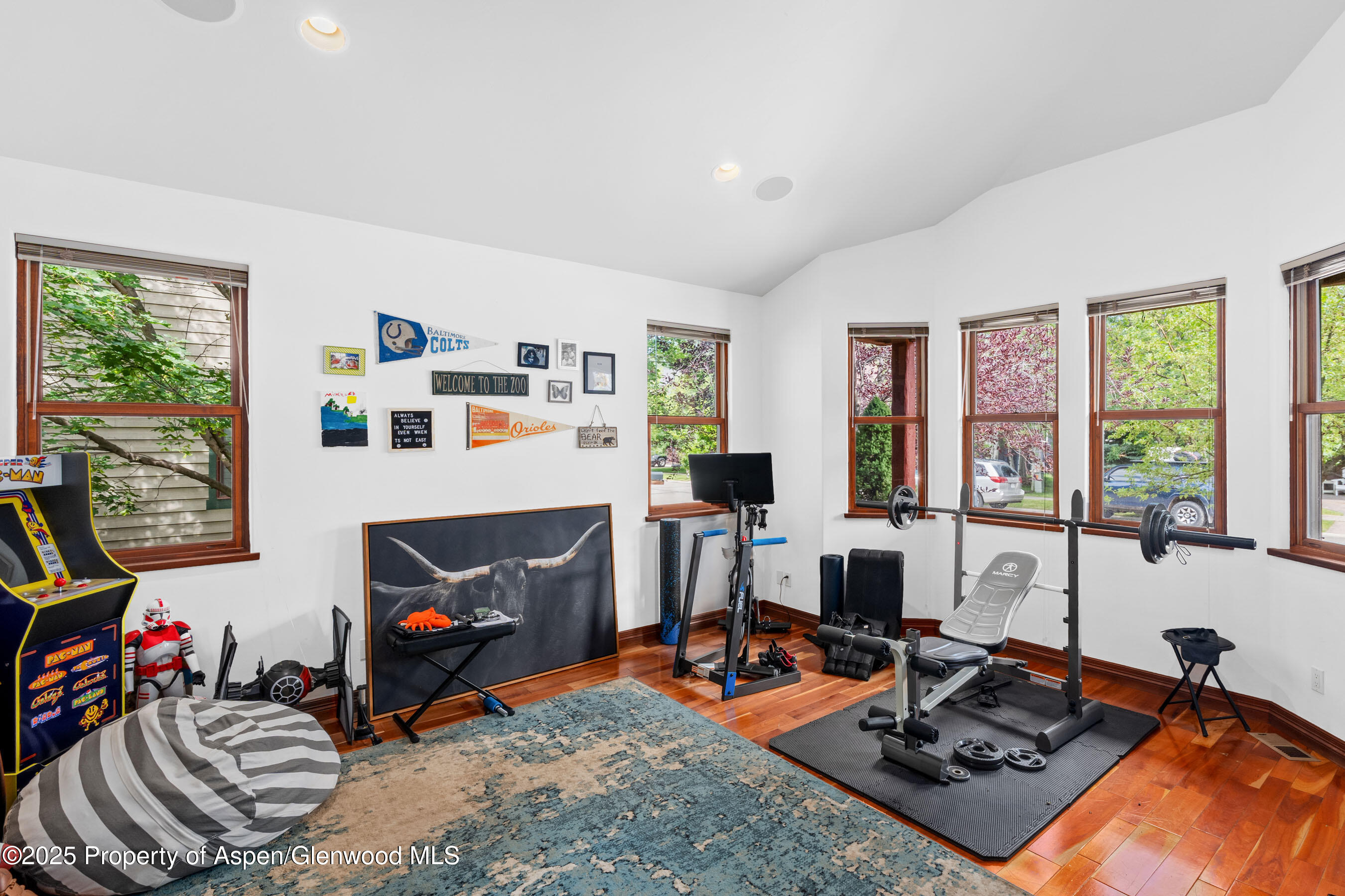 212 Juniper Court Basalt CO 81621